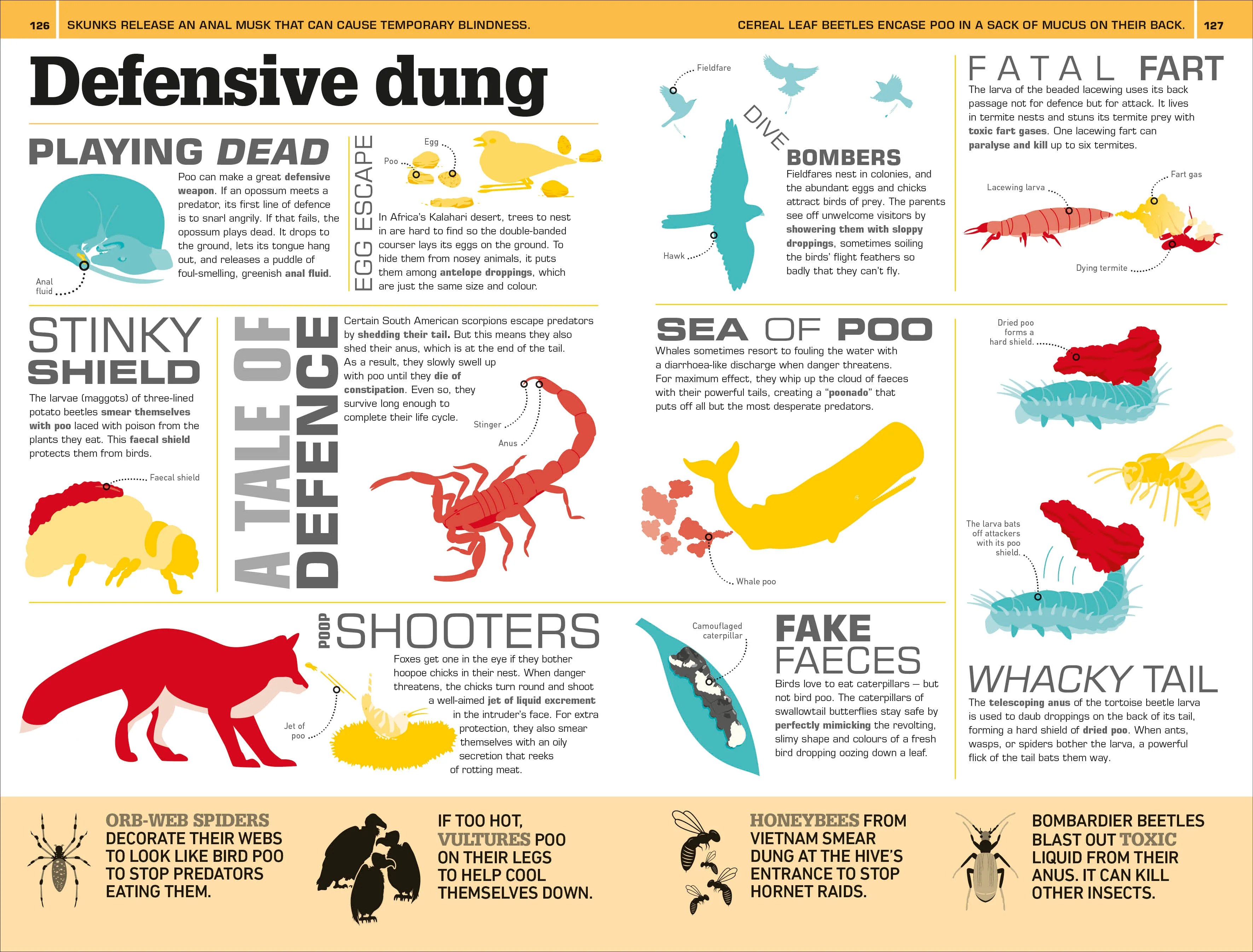 1,000 Amazing Gross Facts - Image 6