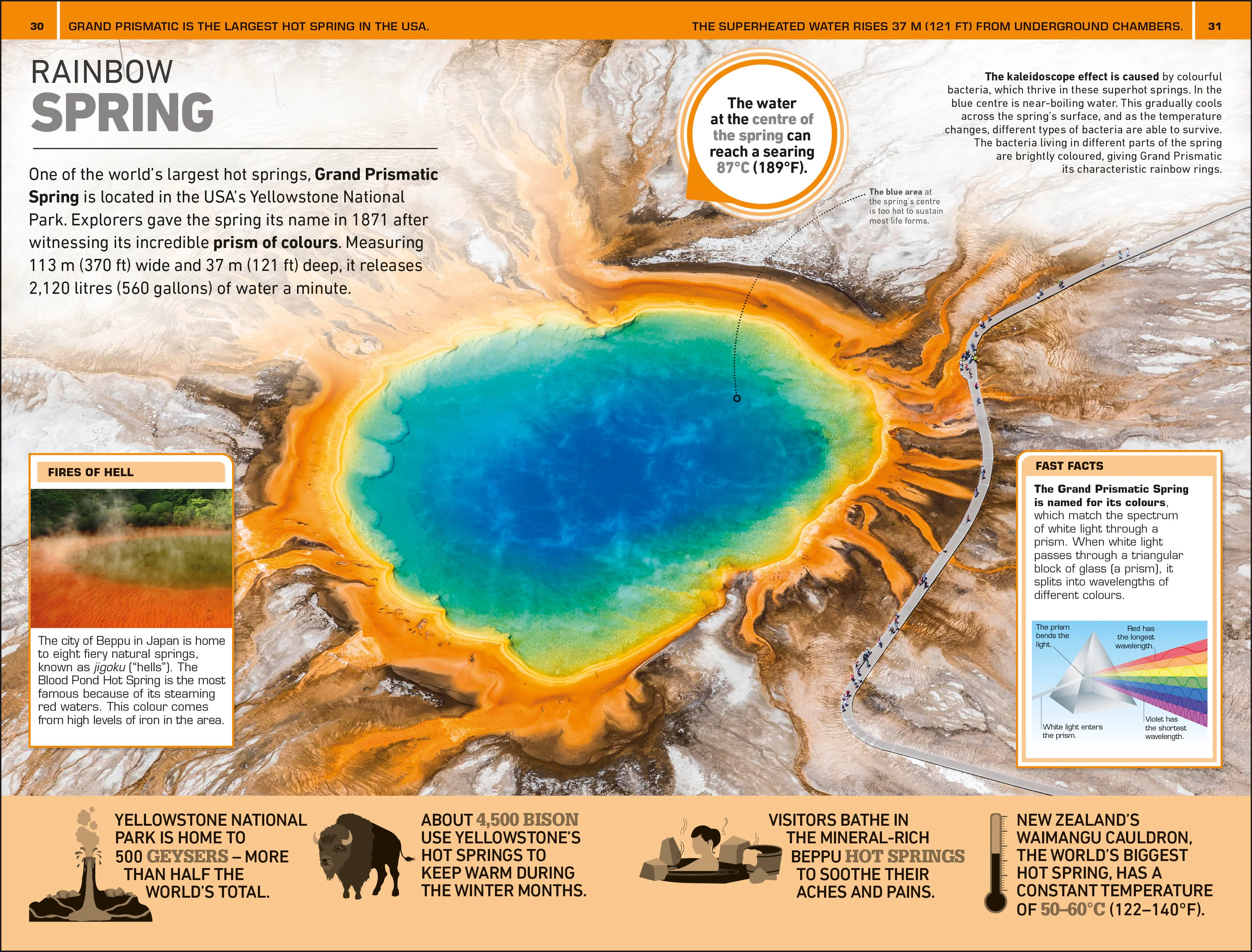 1,000 Amazing Weird Facts - Image 2