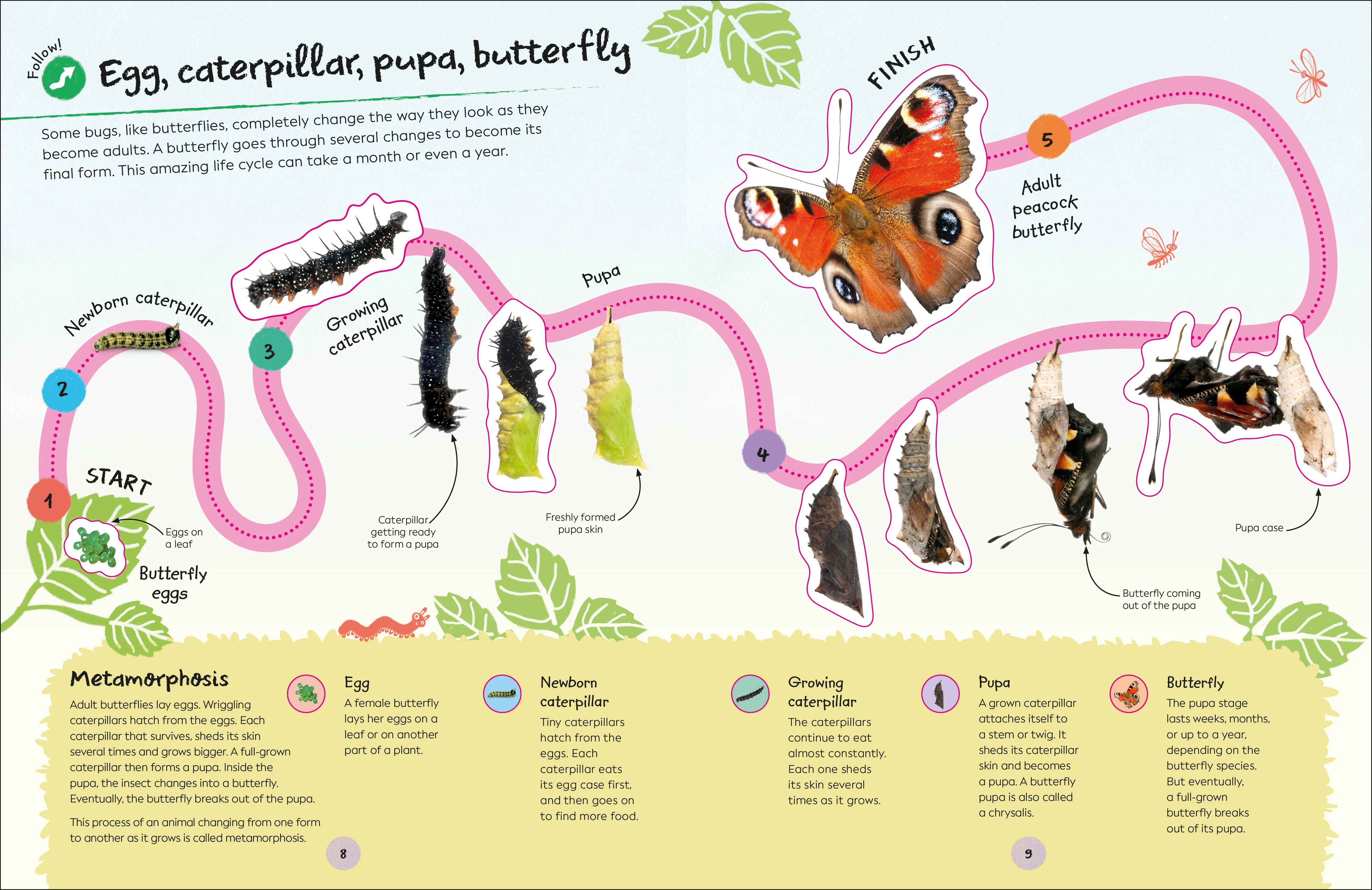 RHS Ultimate Sticker Book Garden Bugs - Image 4