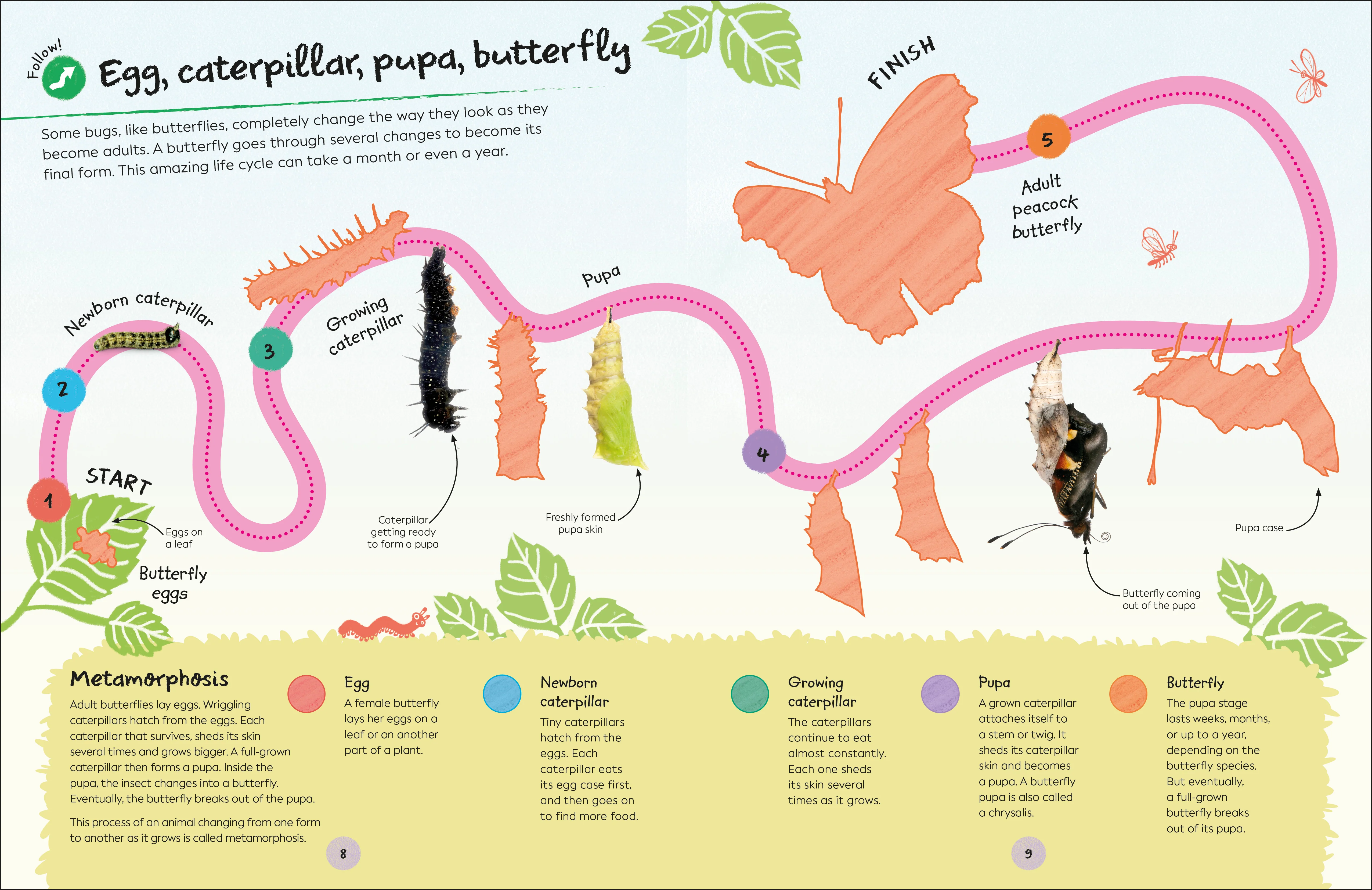 RHS Ultimate Sticker Book Garden Bugs - Image 5