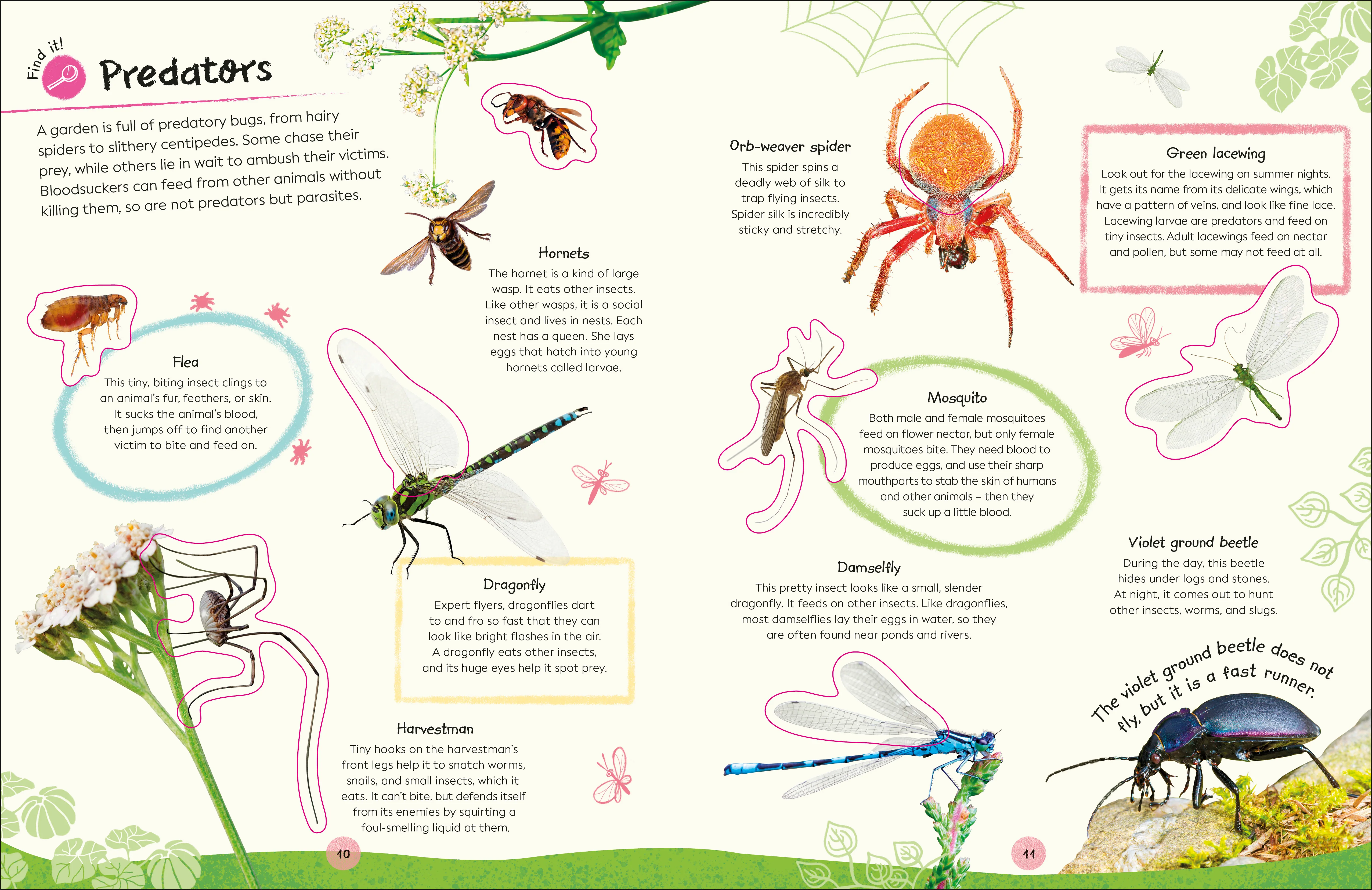 RHS Ultimate Sticker Book Garden Bugs - Image 6