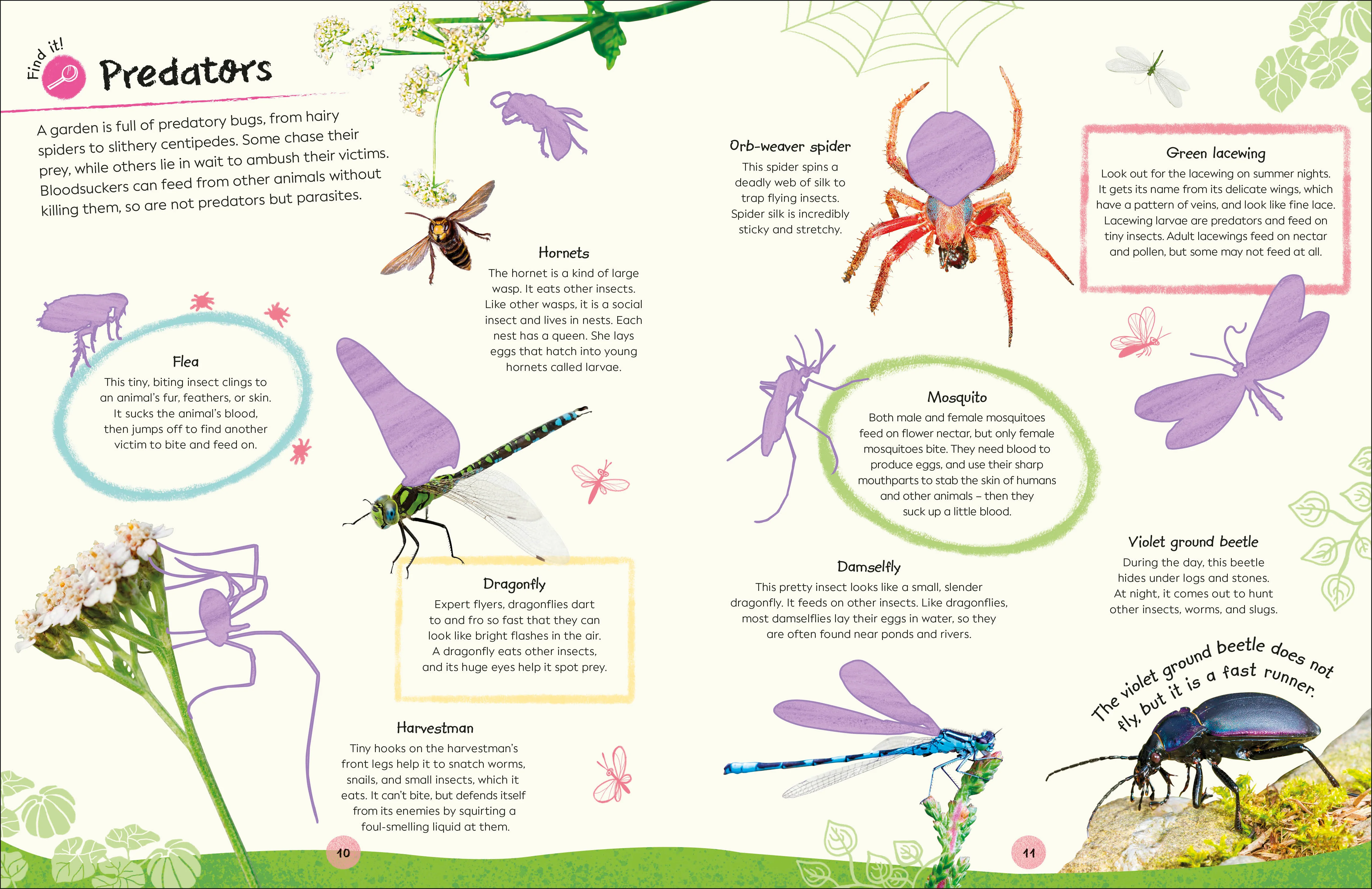 RHS Ultimate Sticker Book Garden Bugs - Image 7