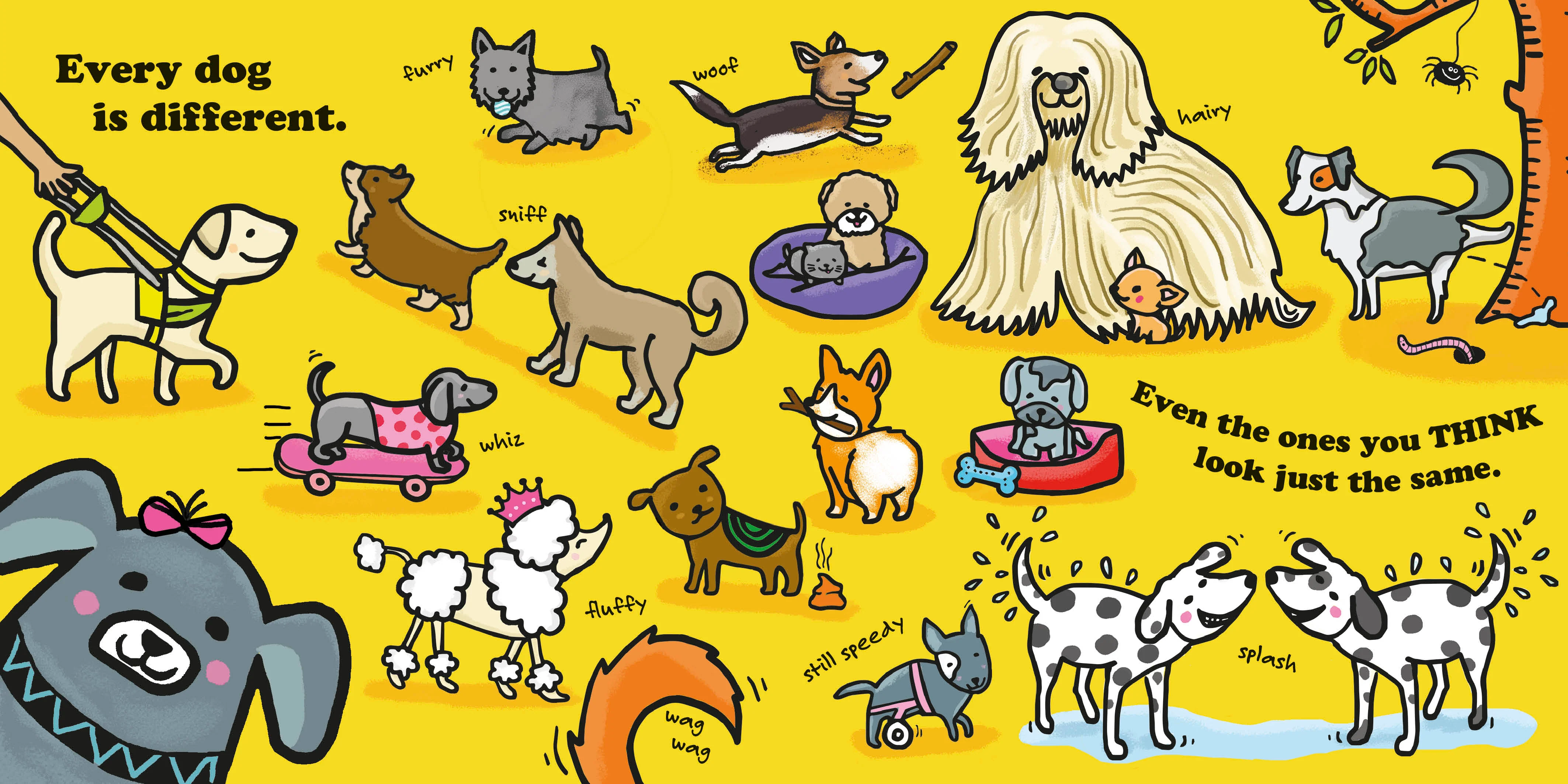 Every One Is Special: Dogs - Image 2