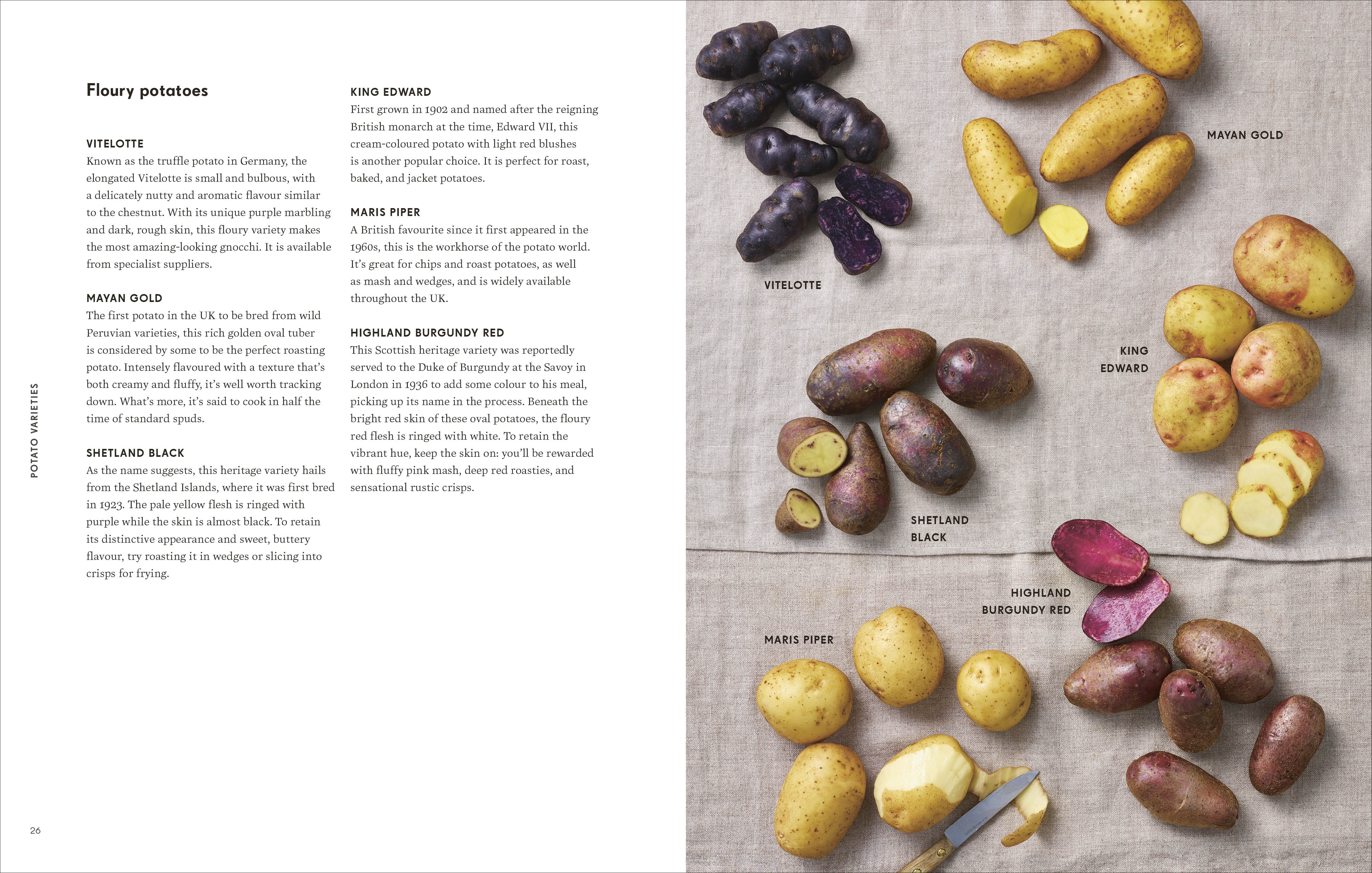 Potato Kitchen - Image 3
