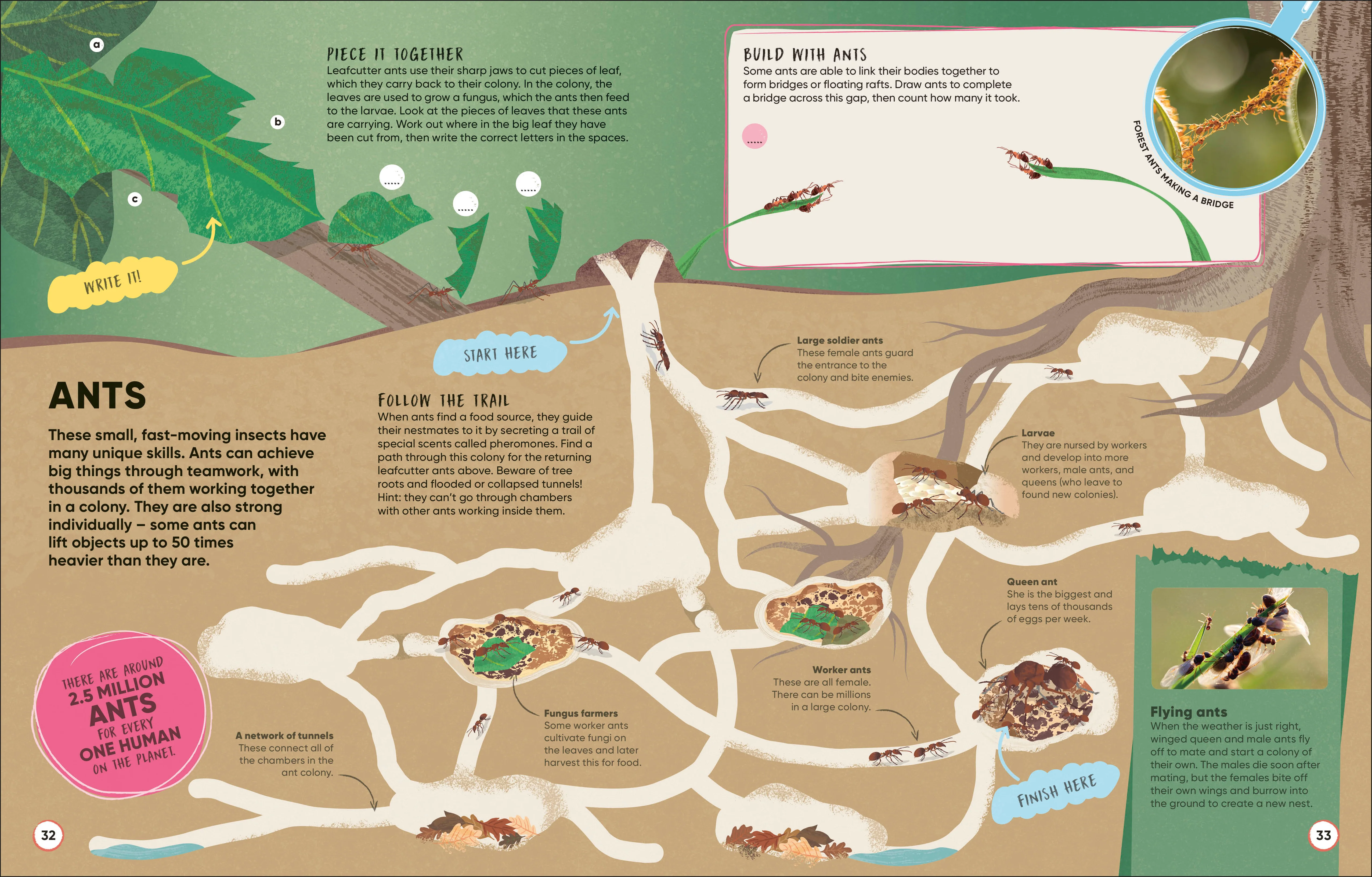 Brain Booster Bugs - Image 3