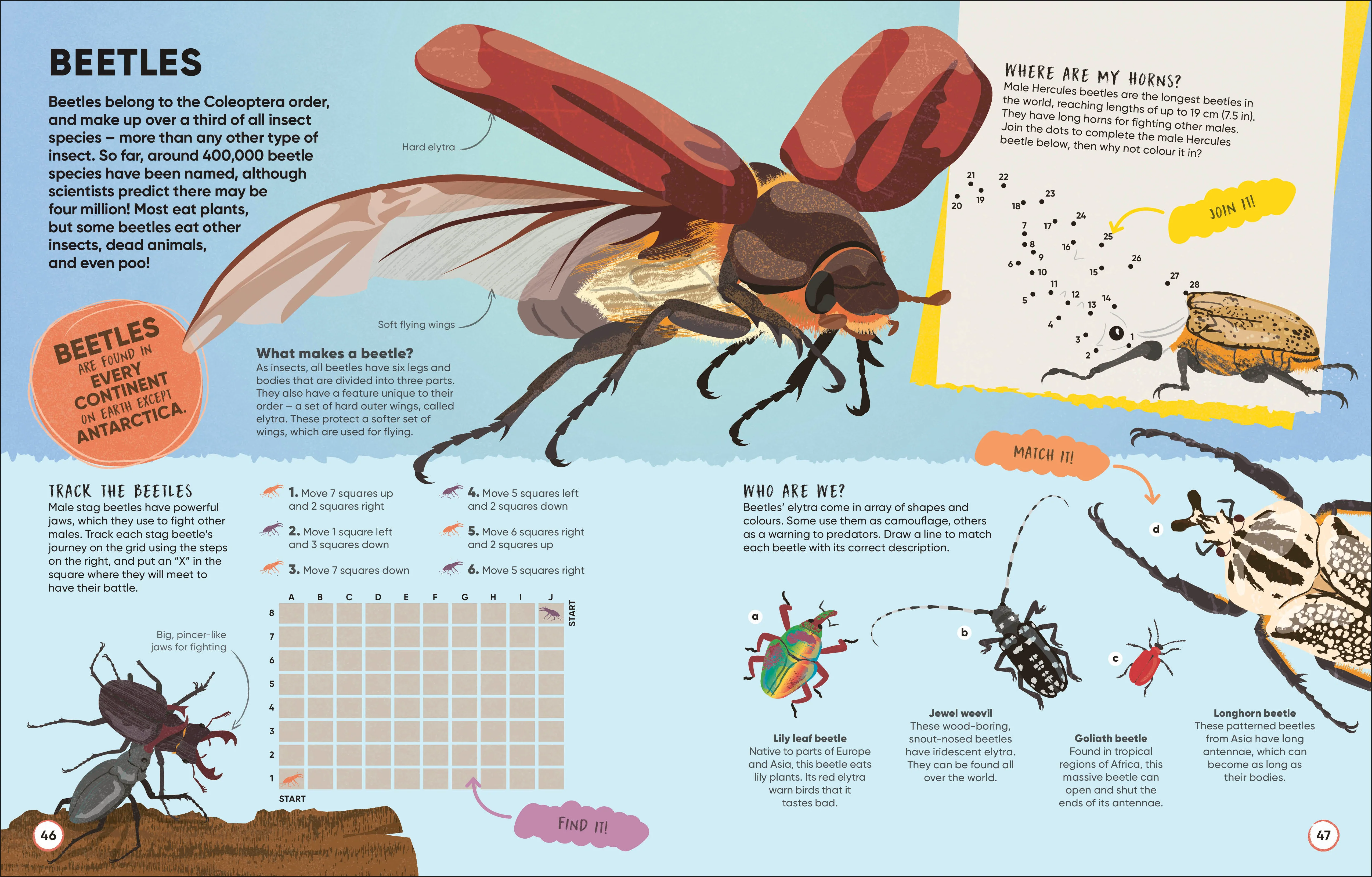 Brain Booster Bugs - Image 5