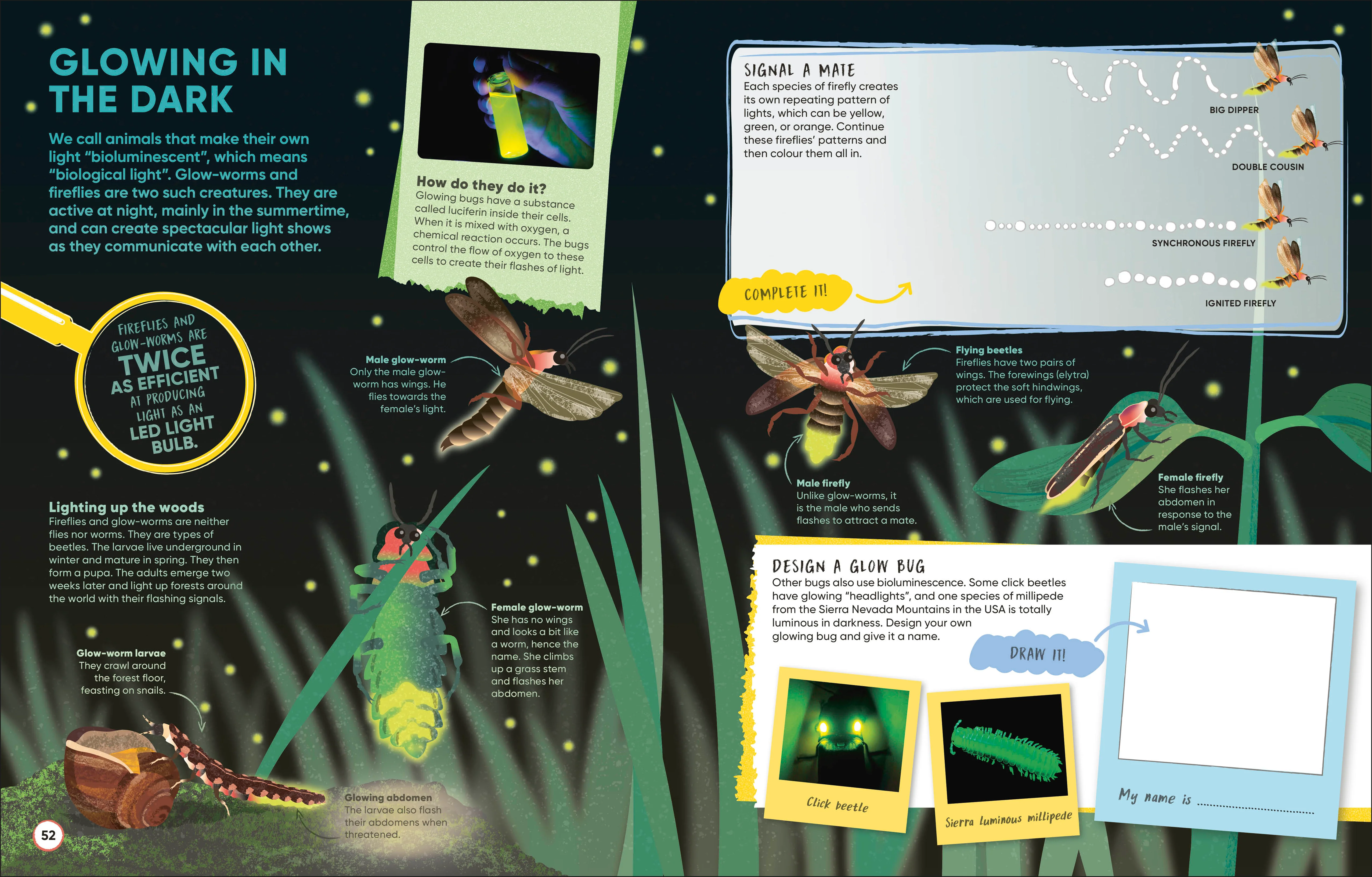 Brain Booster Bugs - Image 6