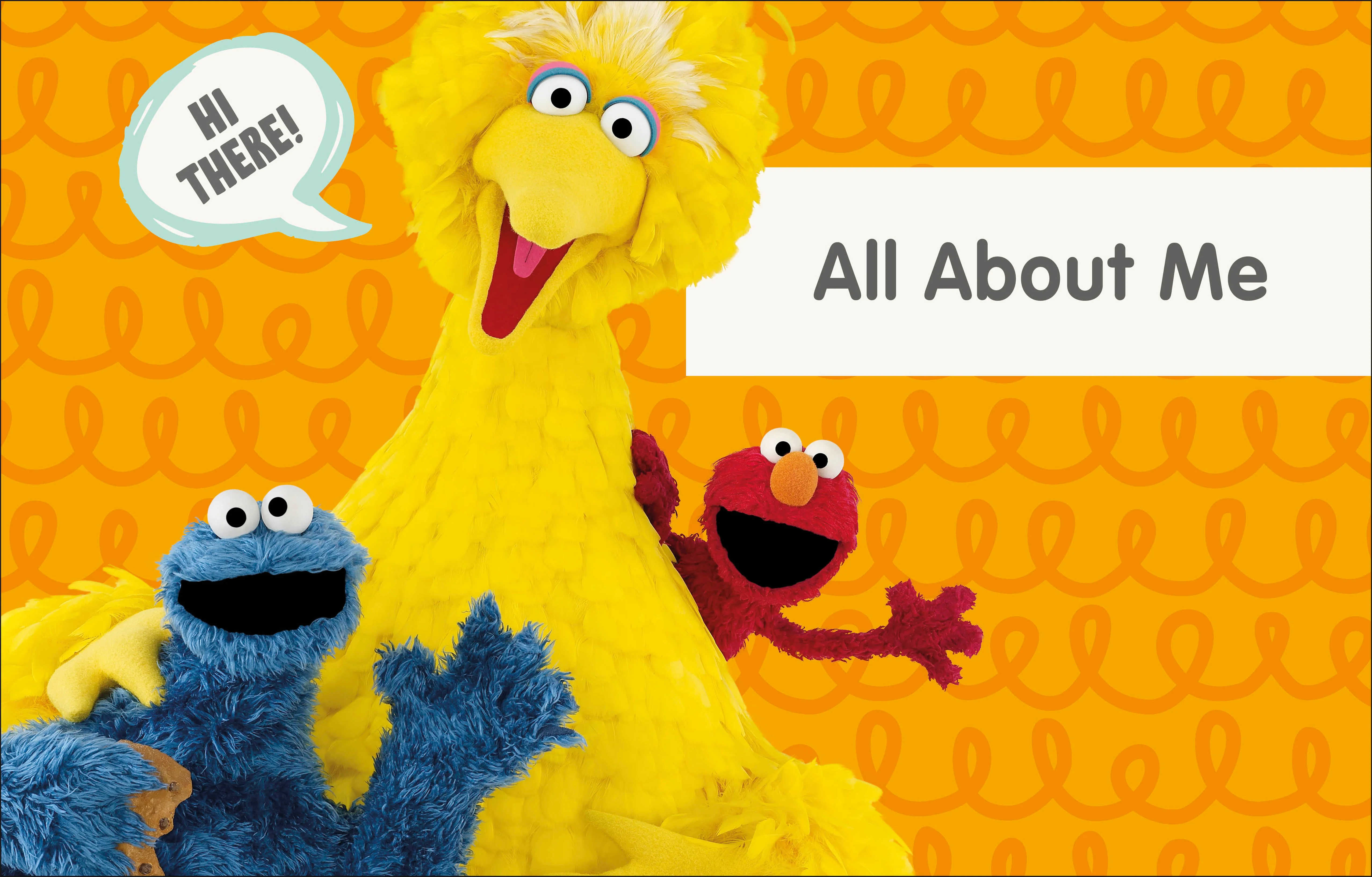 Sesame Street Elmo Asks Why? - Image 2