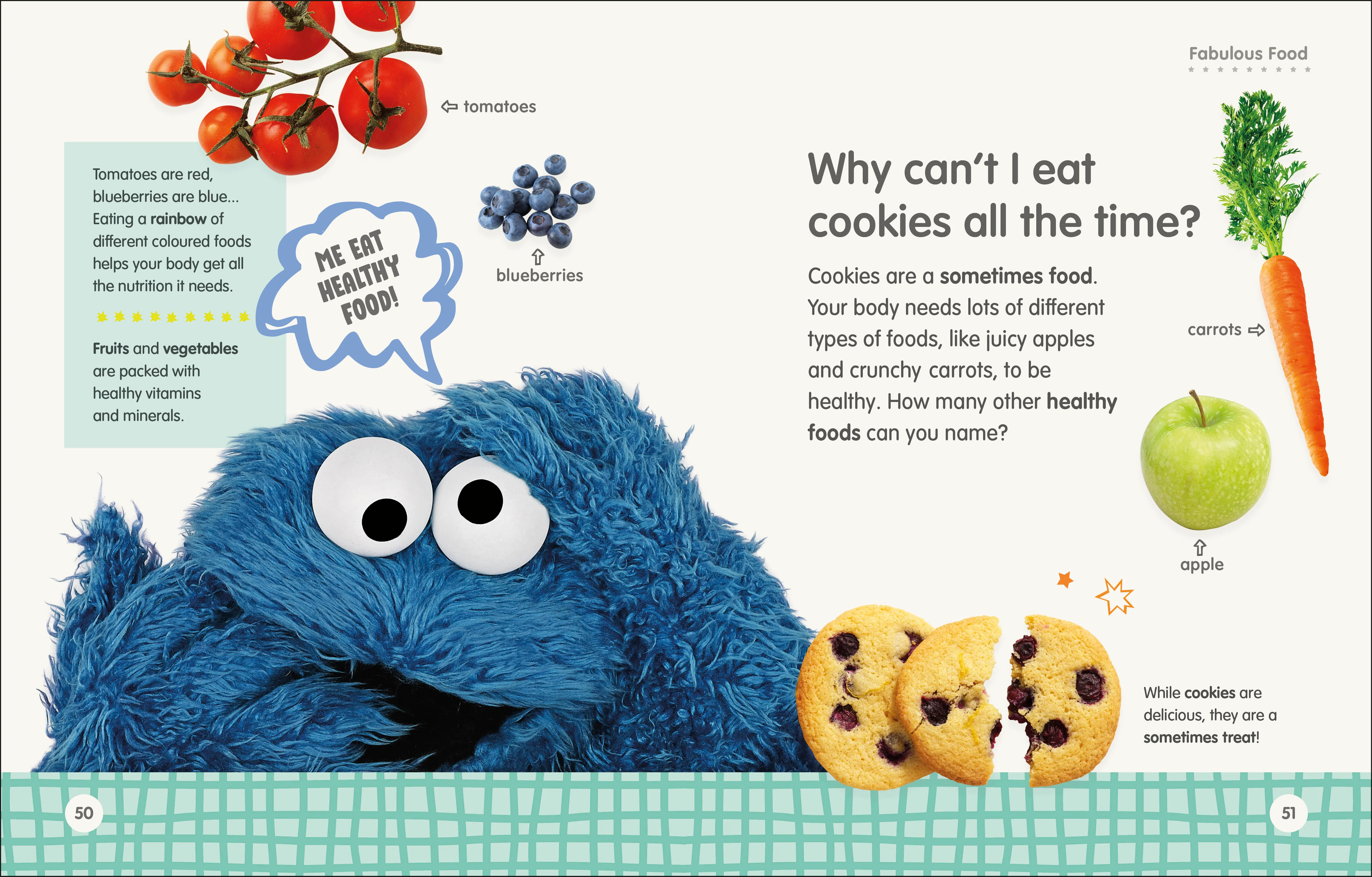Sesame Street Elmo Asks Why? - Image 3