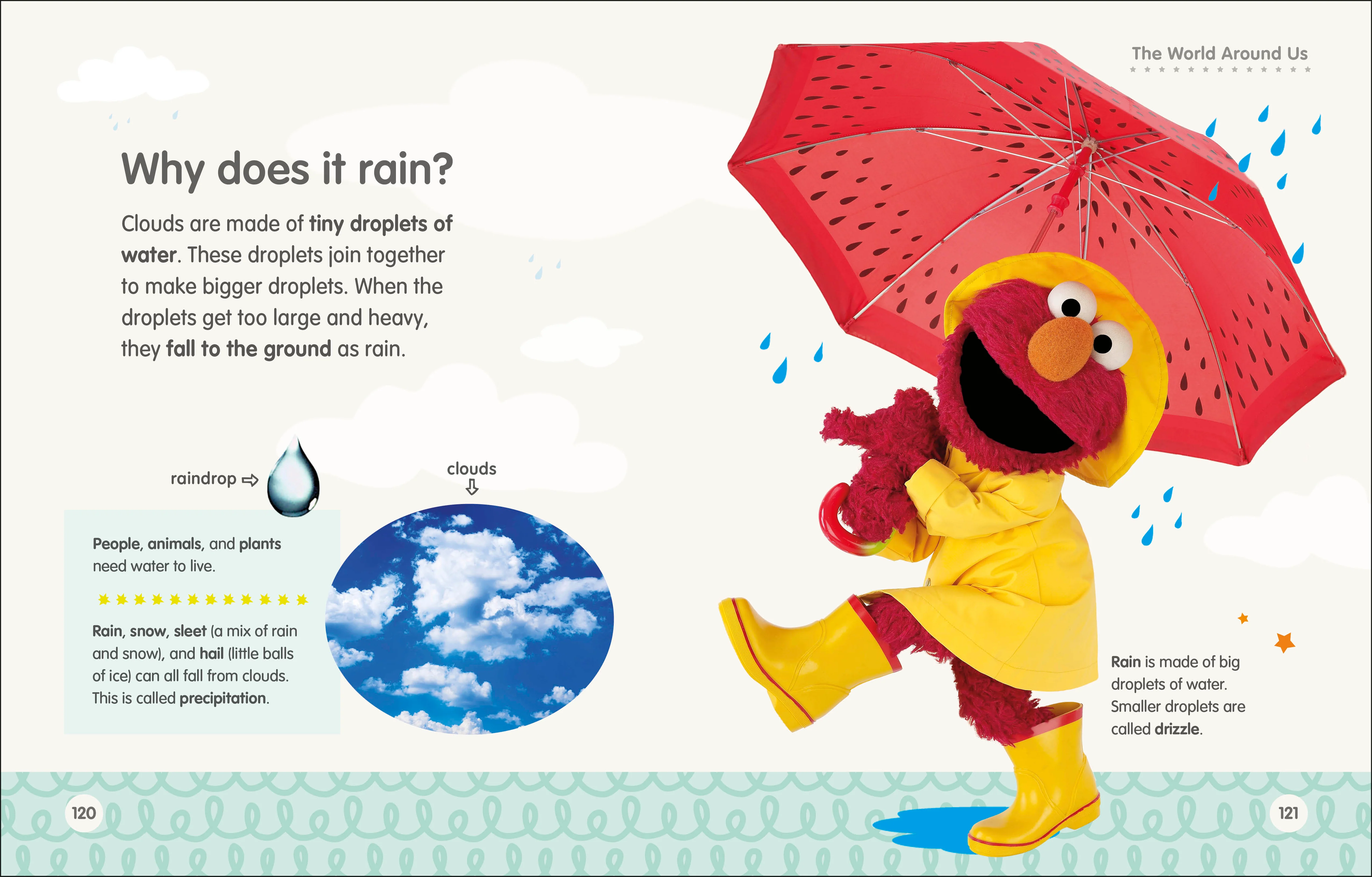 Sesame Street Elmo Asks Why? - Image 5