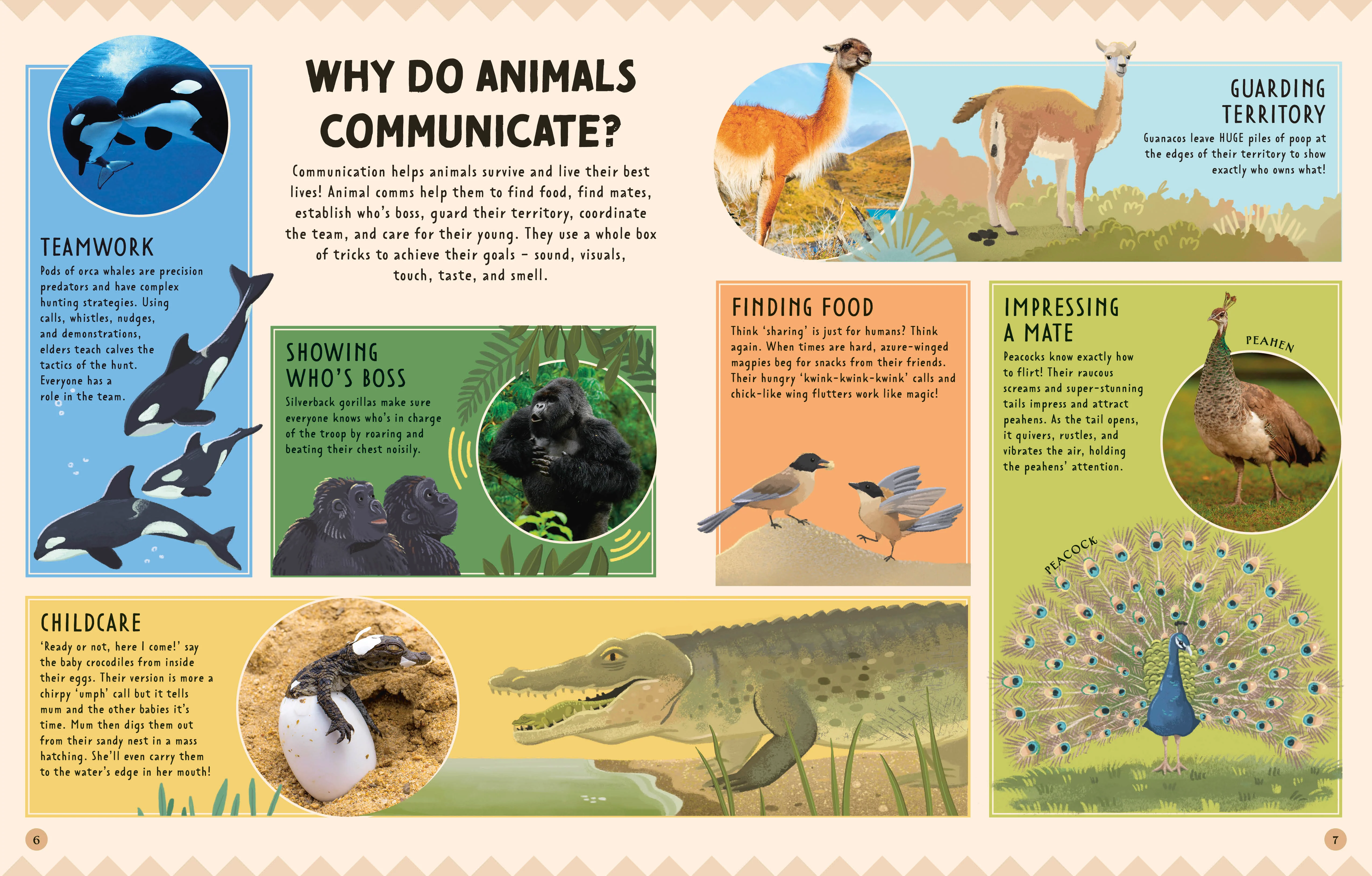 Animal Talk - Image 2