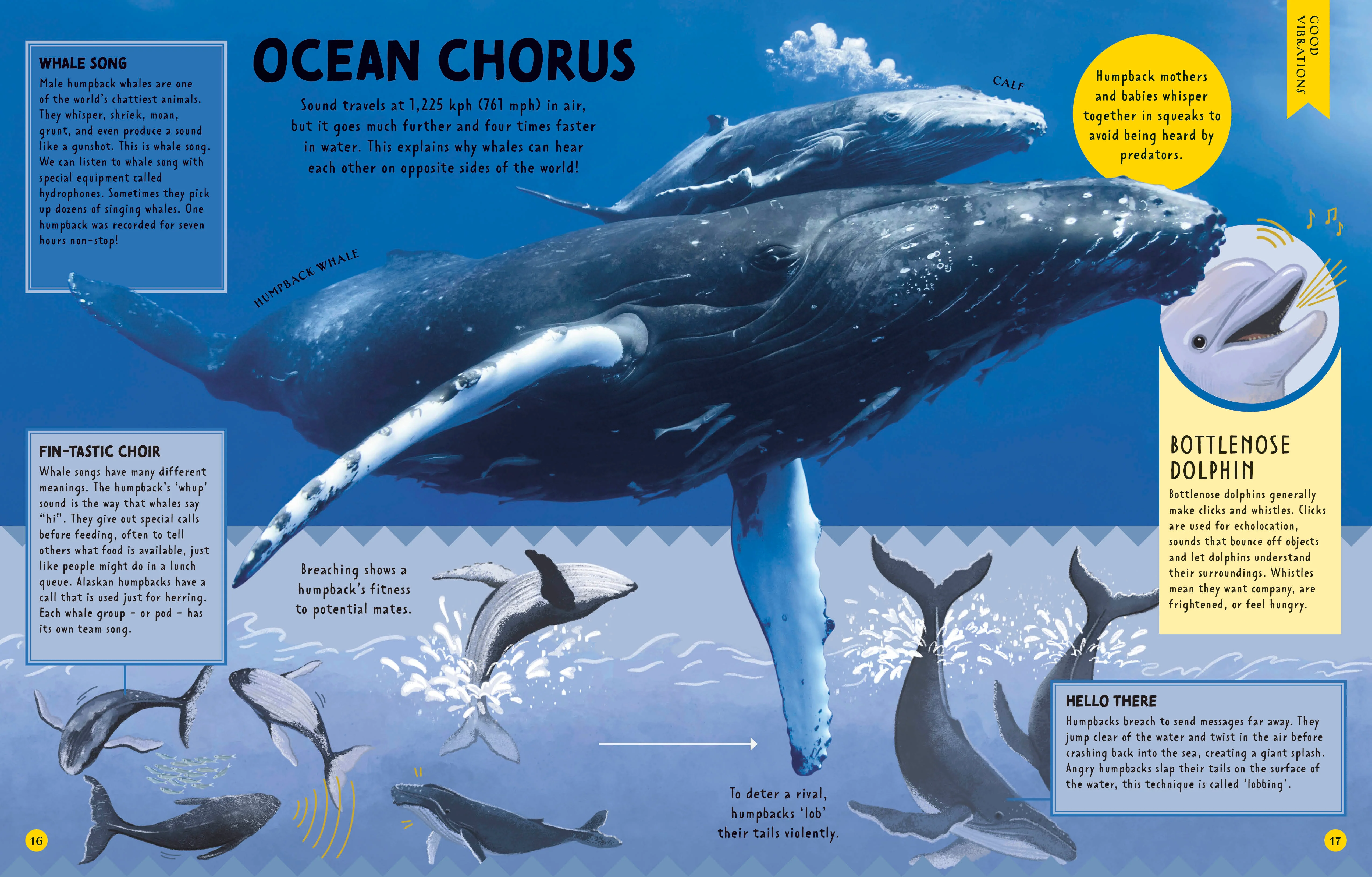 Animal Talk - Image 3