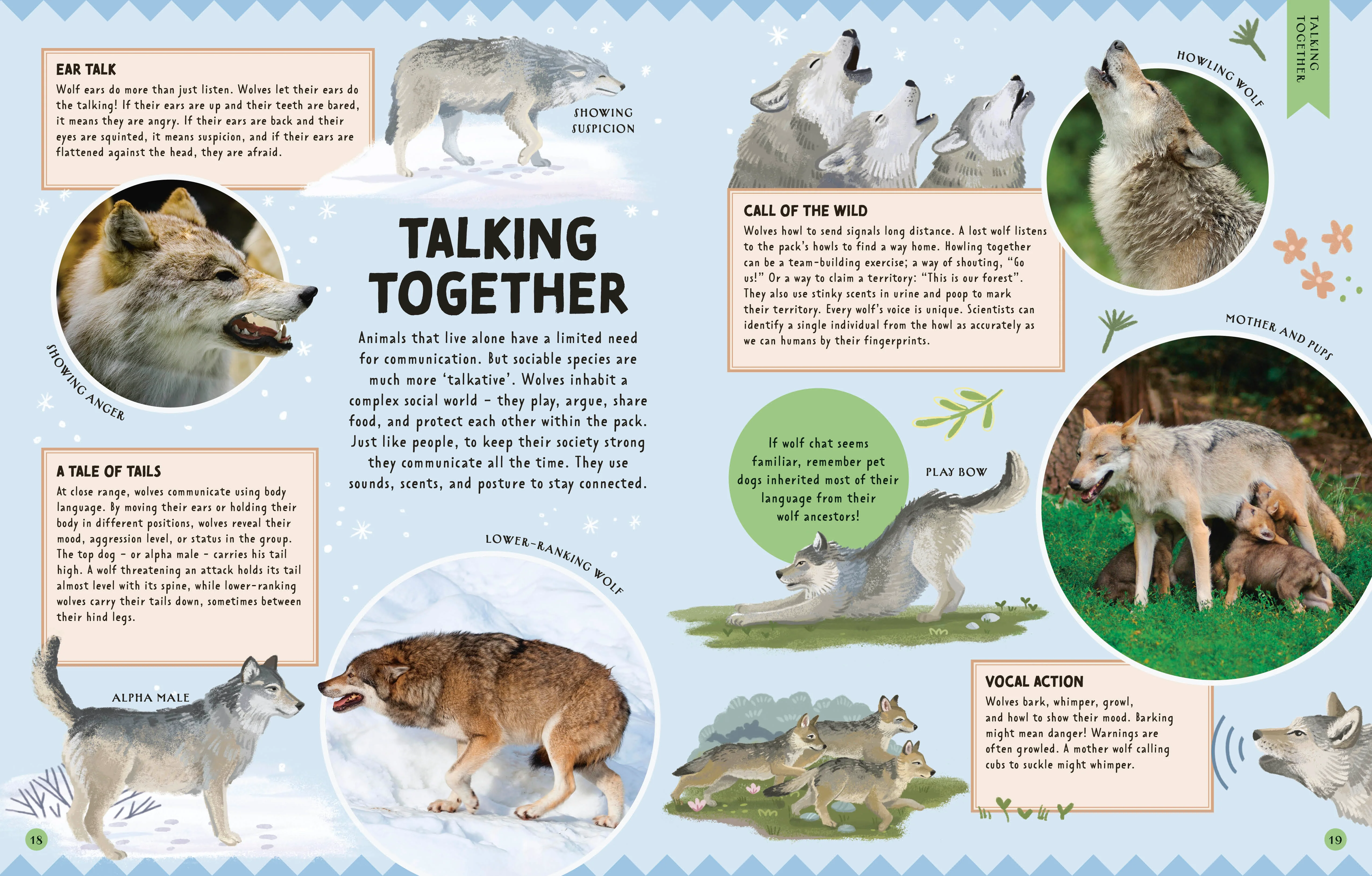Animal Talk - Image 4