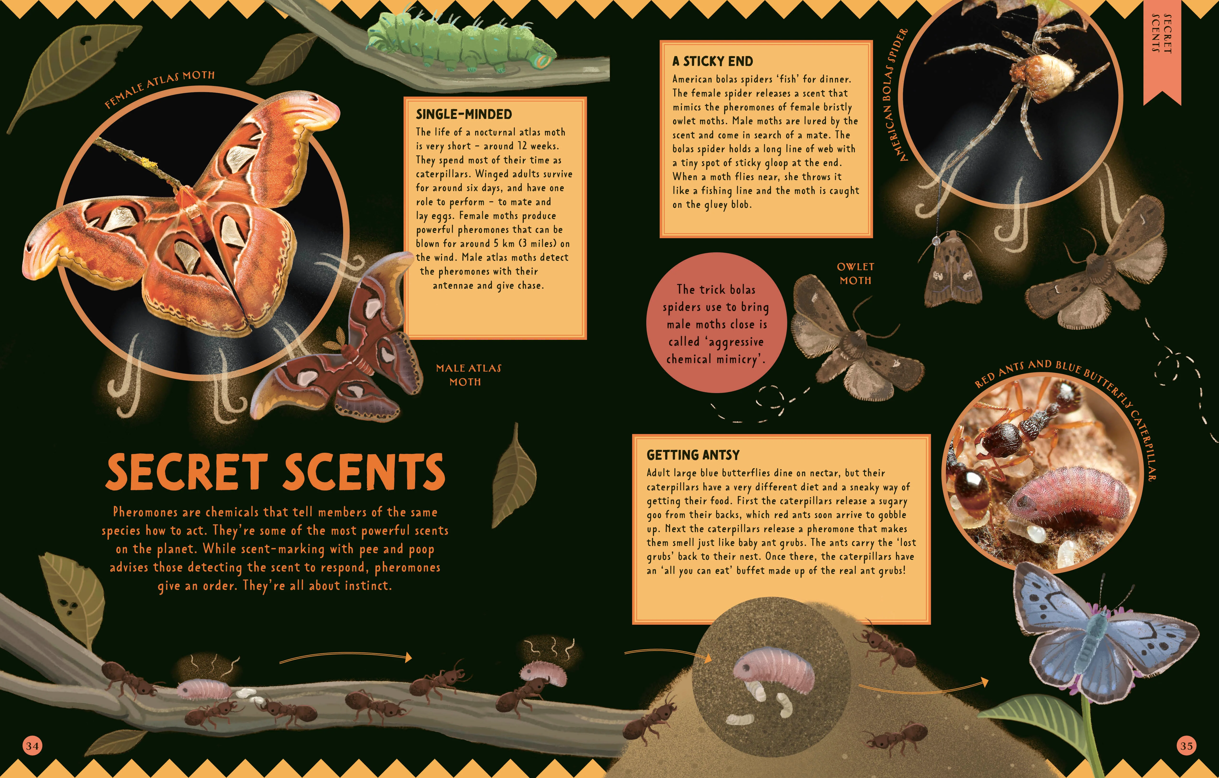 Animal Talk - Image 5