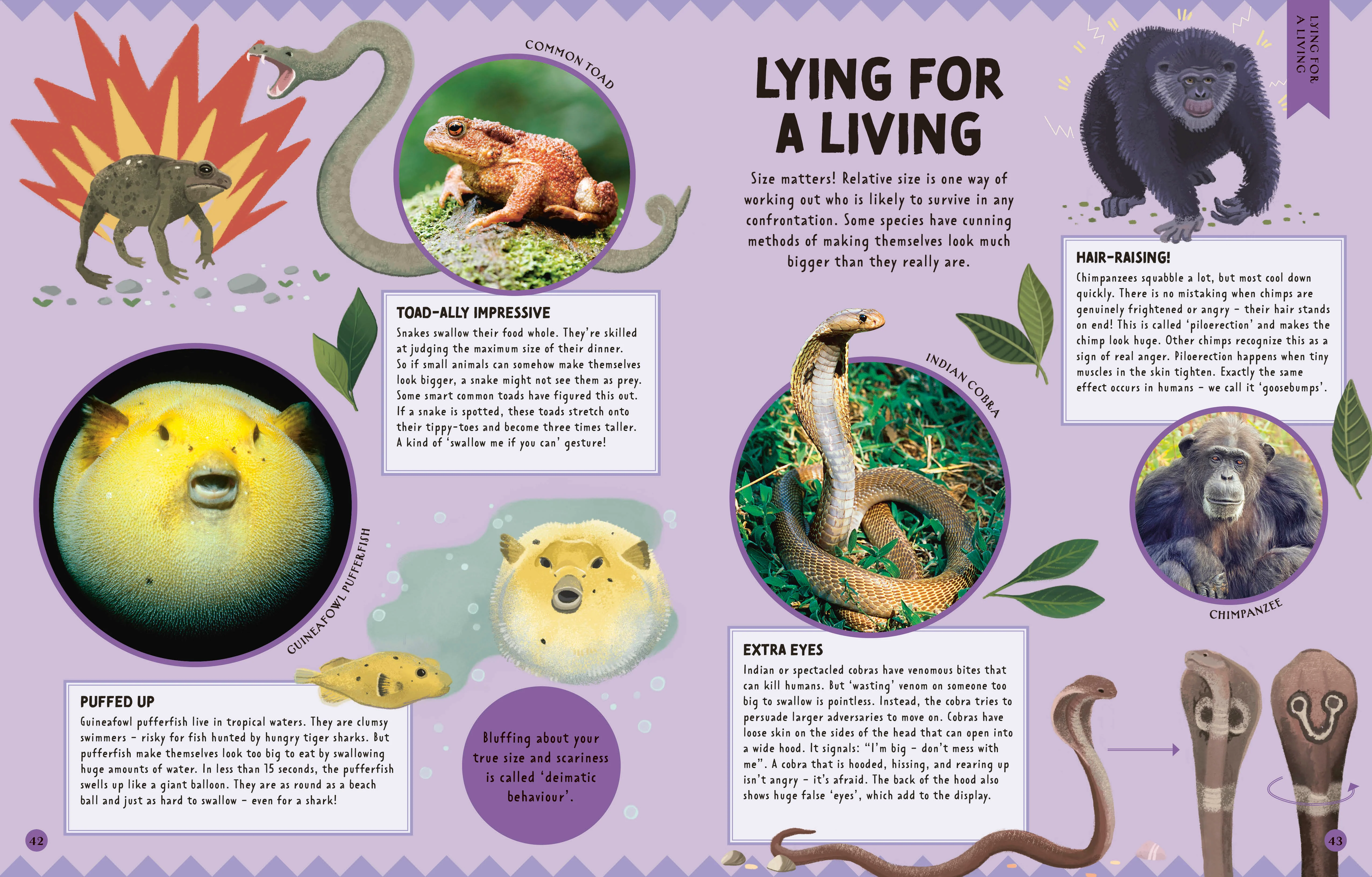 Animal Talk - Image 6