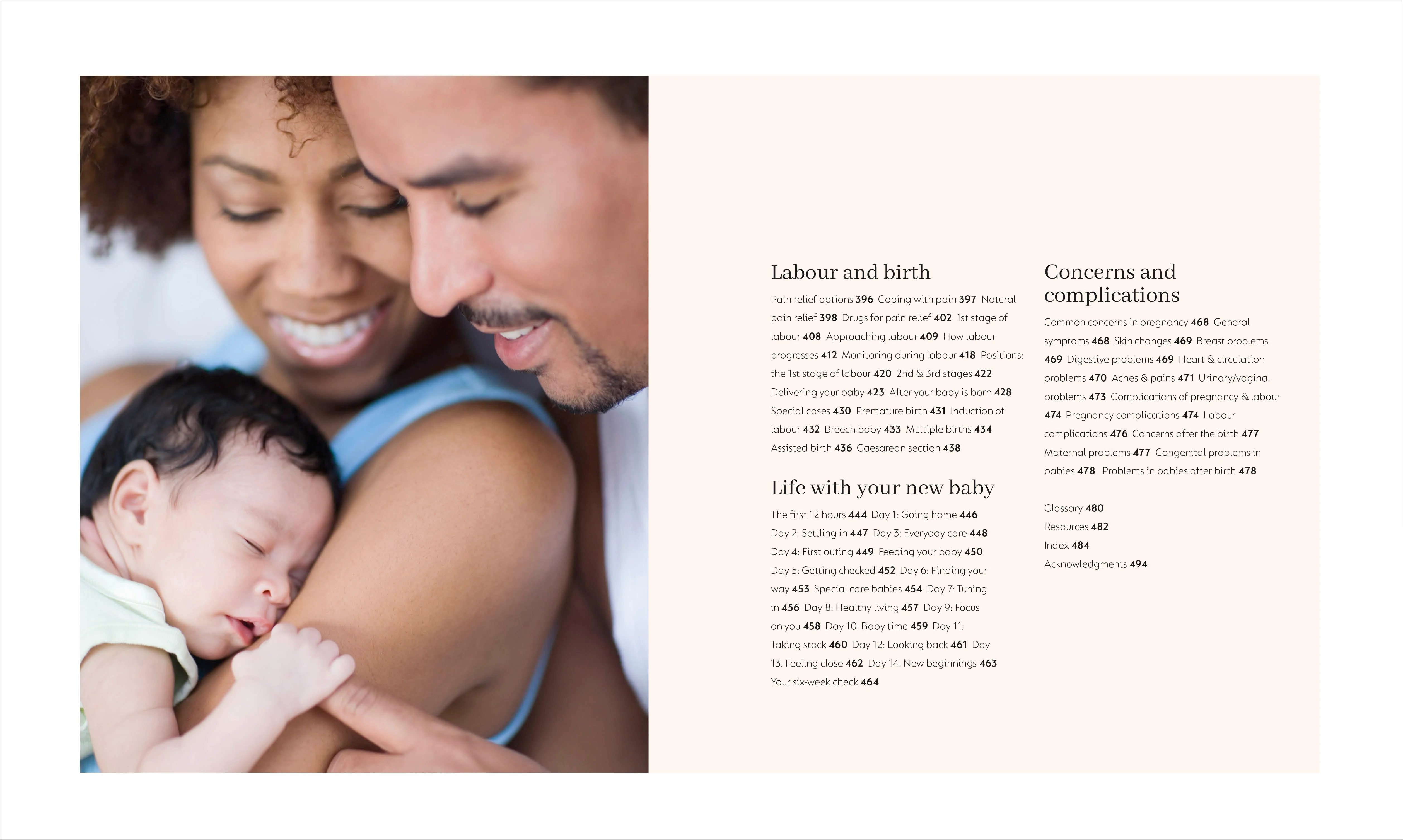 The Day-by-Day Pregnancy Book - Image 3