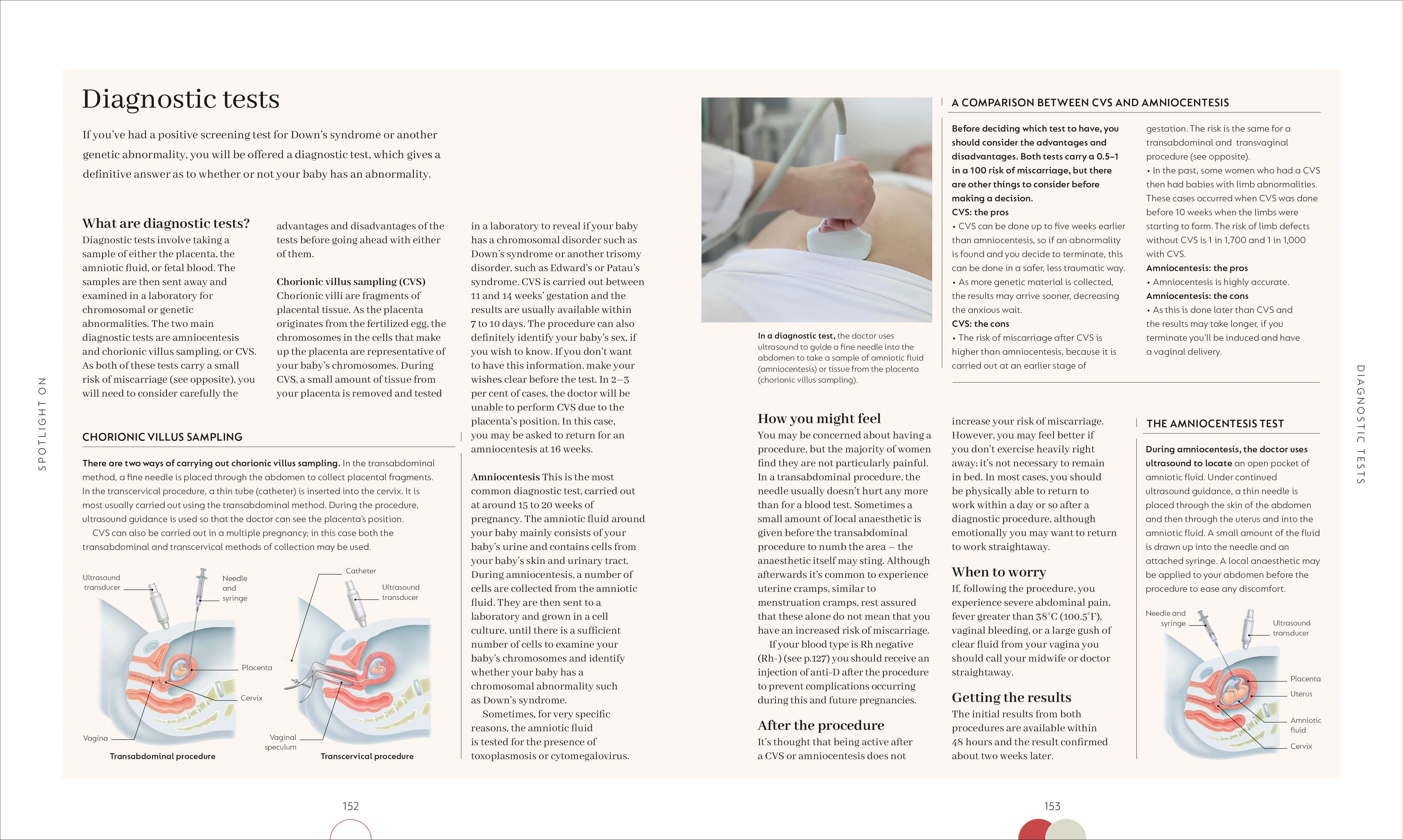 The Day-by-Day Pregnancy Book - Image 6