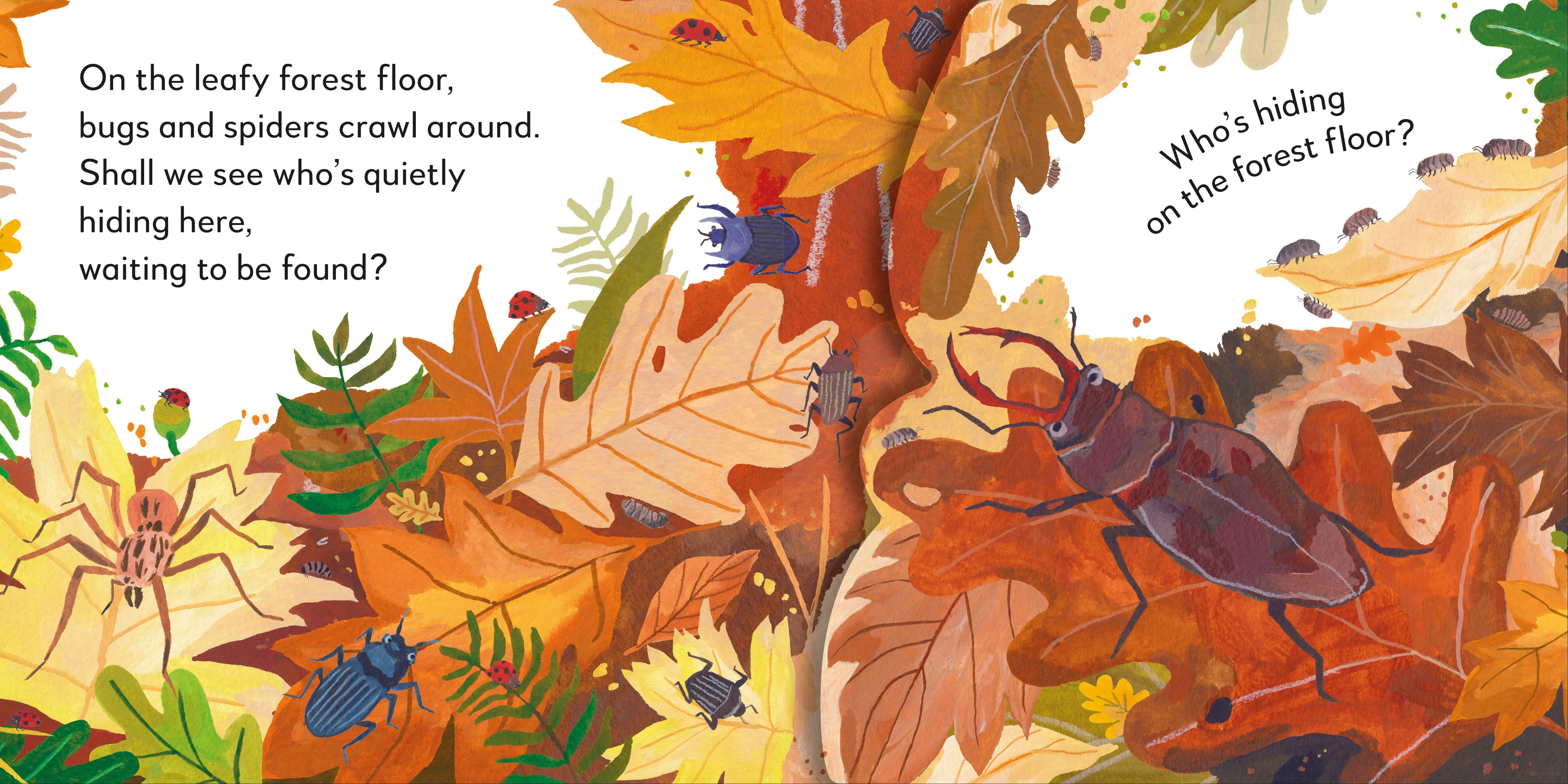 Pop-Up Peekaboo! Forest - Image 4