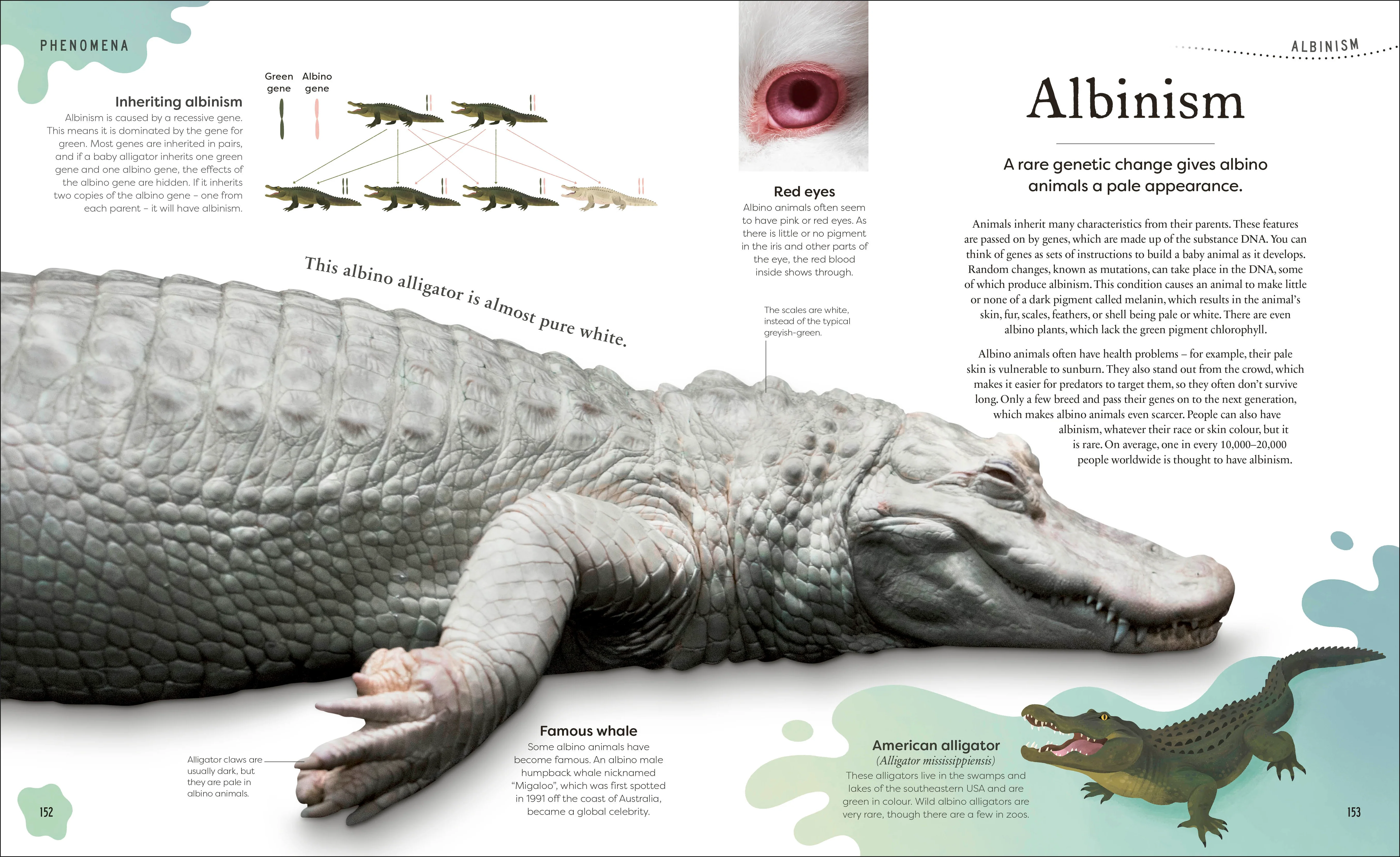 Weird and Wonderful Nature - Image 6