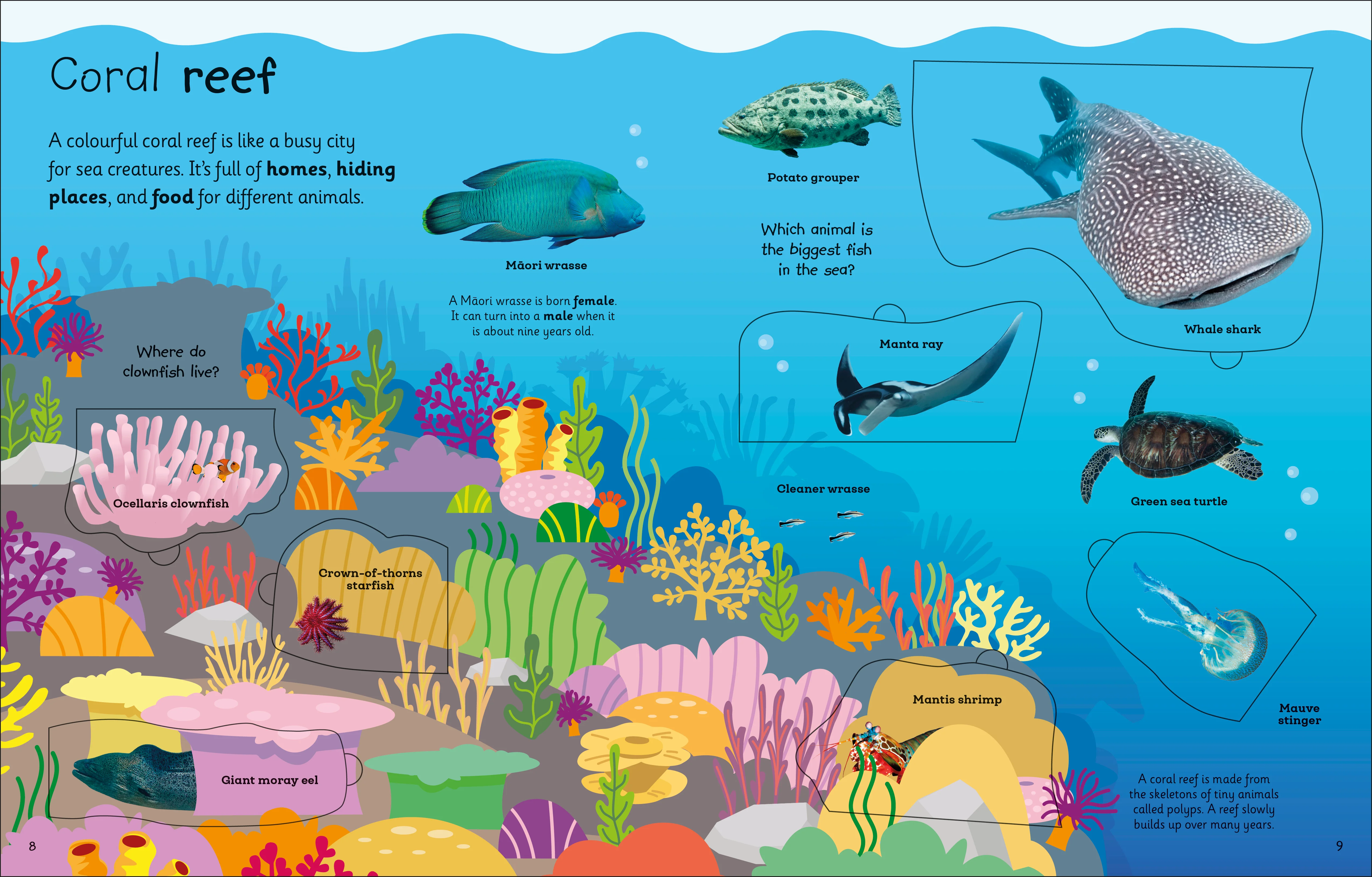 My Very Important Lift-the-Flap Book: Animals - Image 2