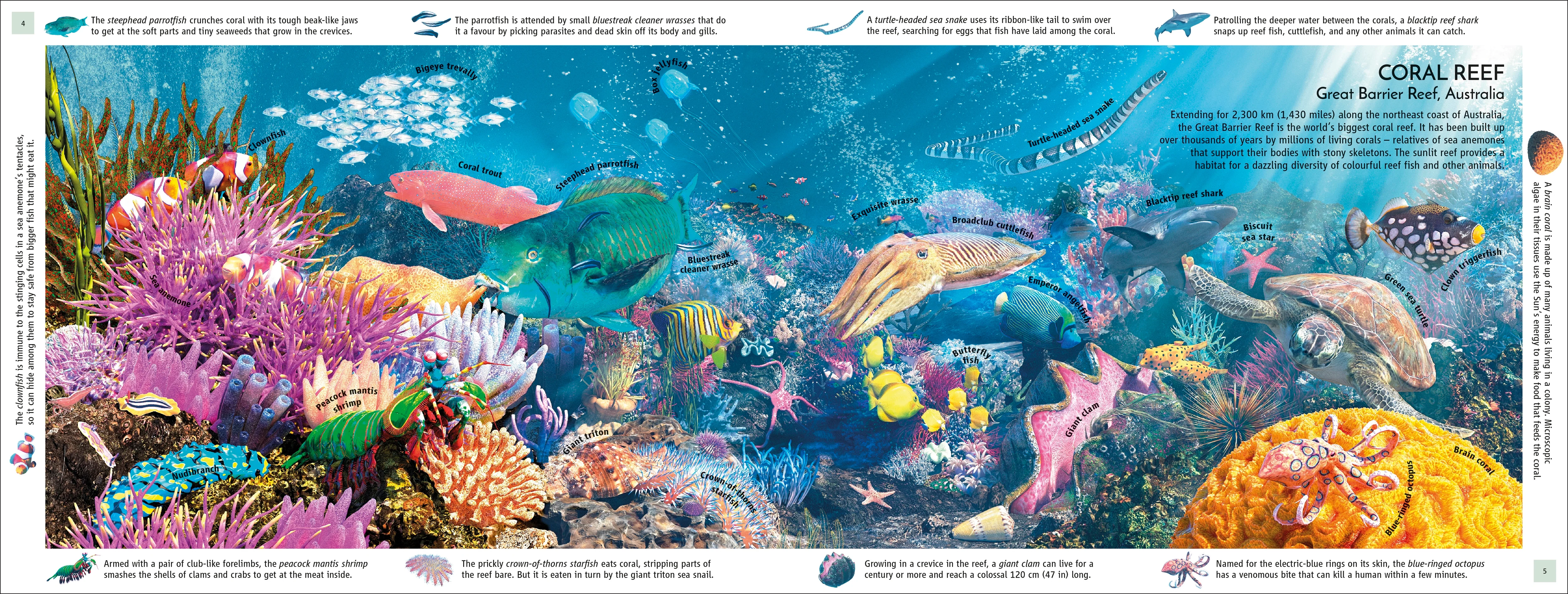 Habitats of the World - Image 2