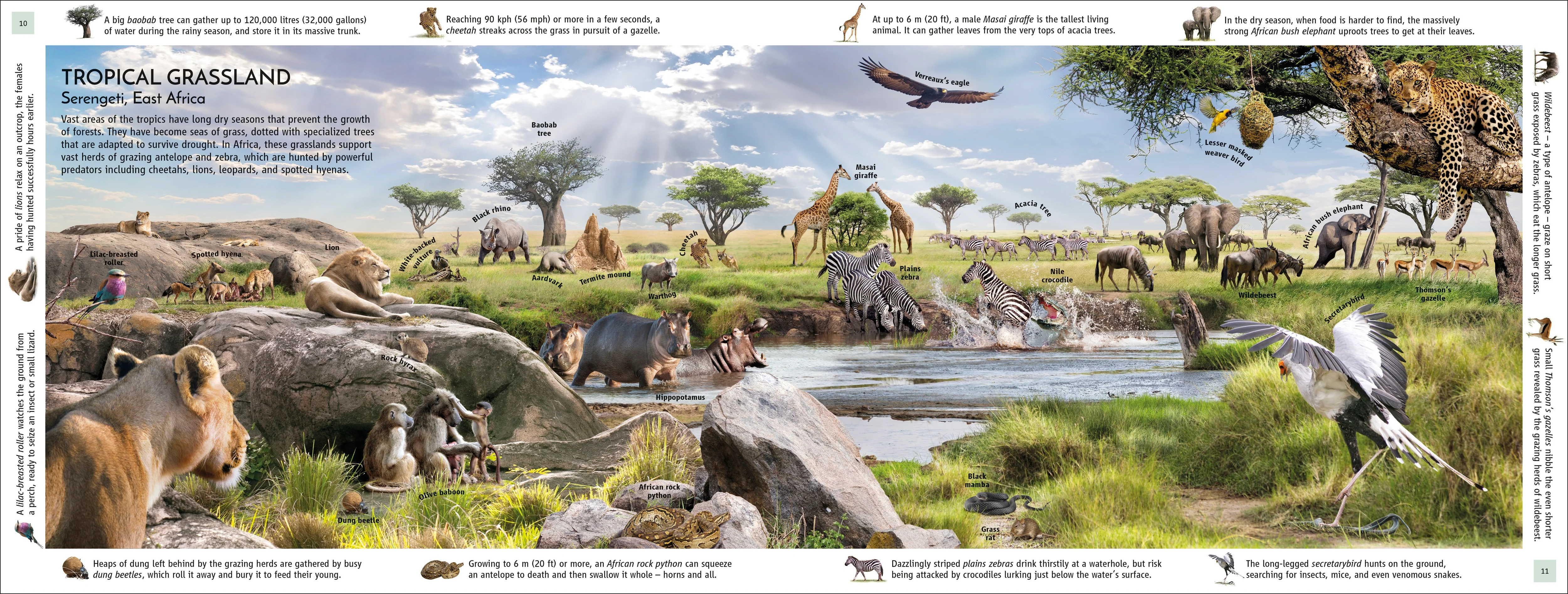 Habitats of the World - Image 3