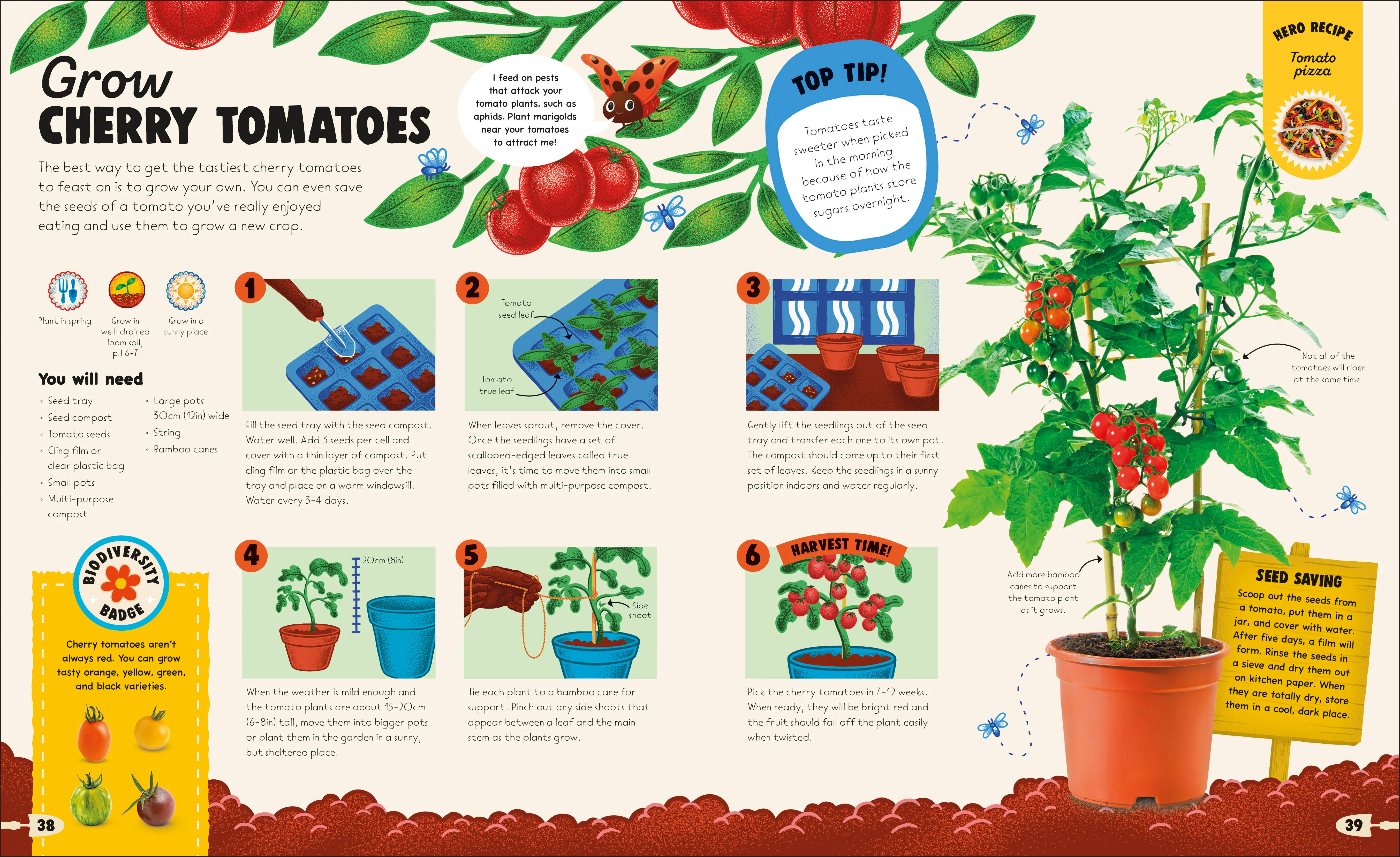 From Plant to Plate - Image 4