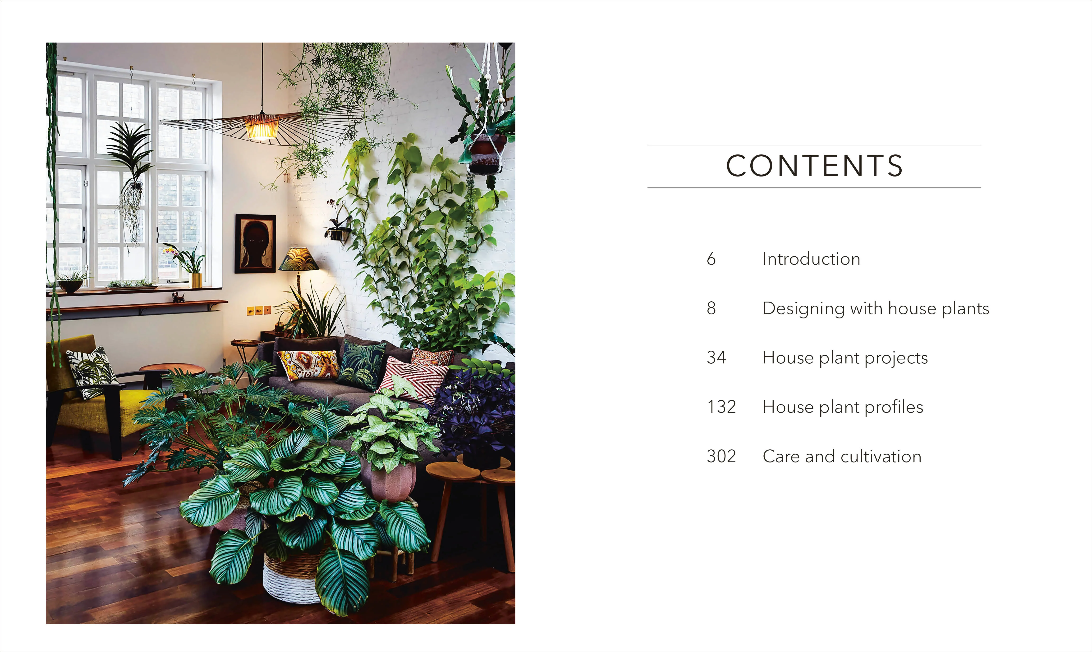 RHS House Plant - Image 2