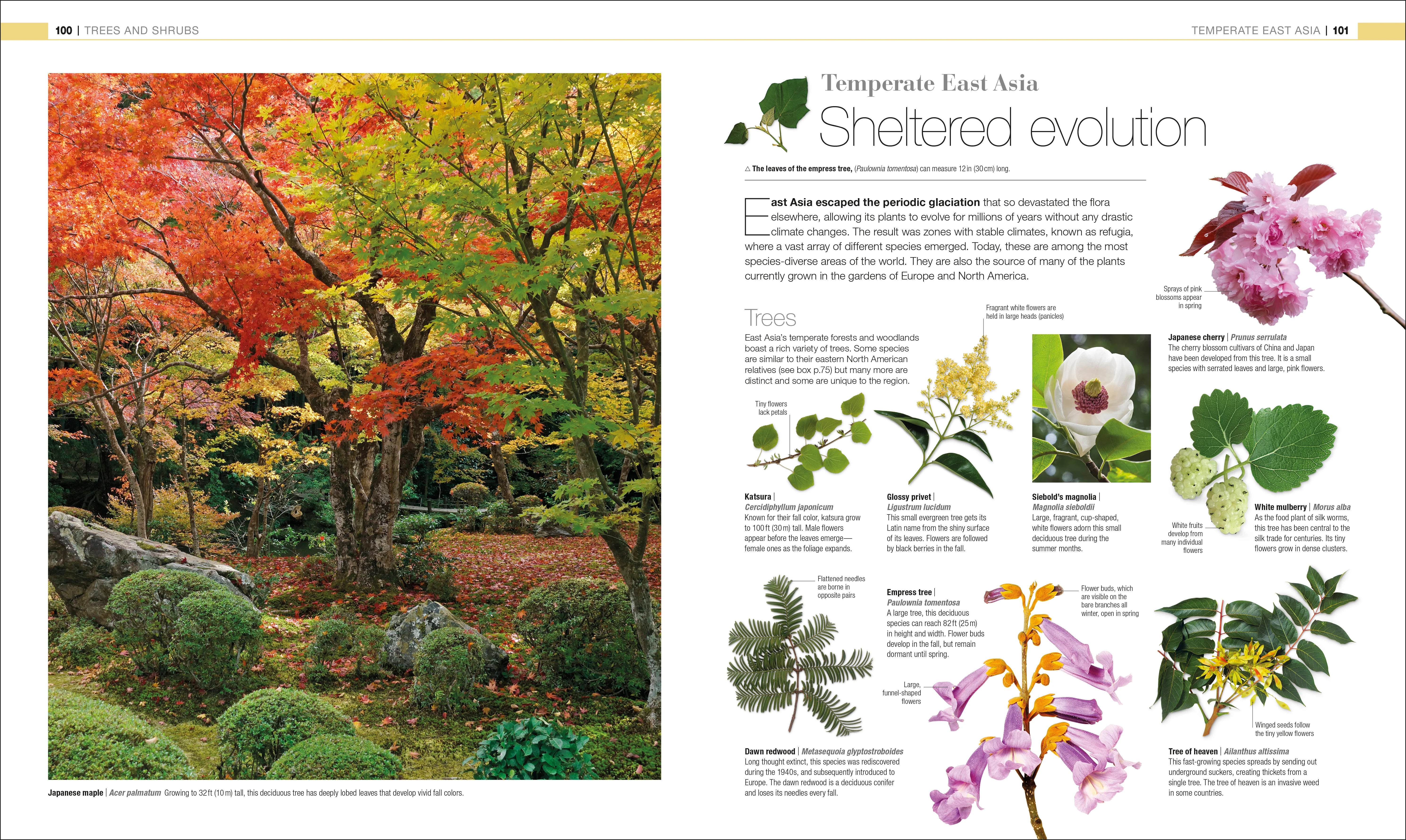 Plants and Fungi - Image 4