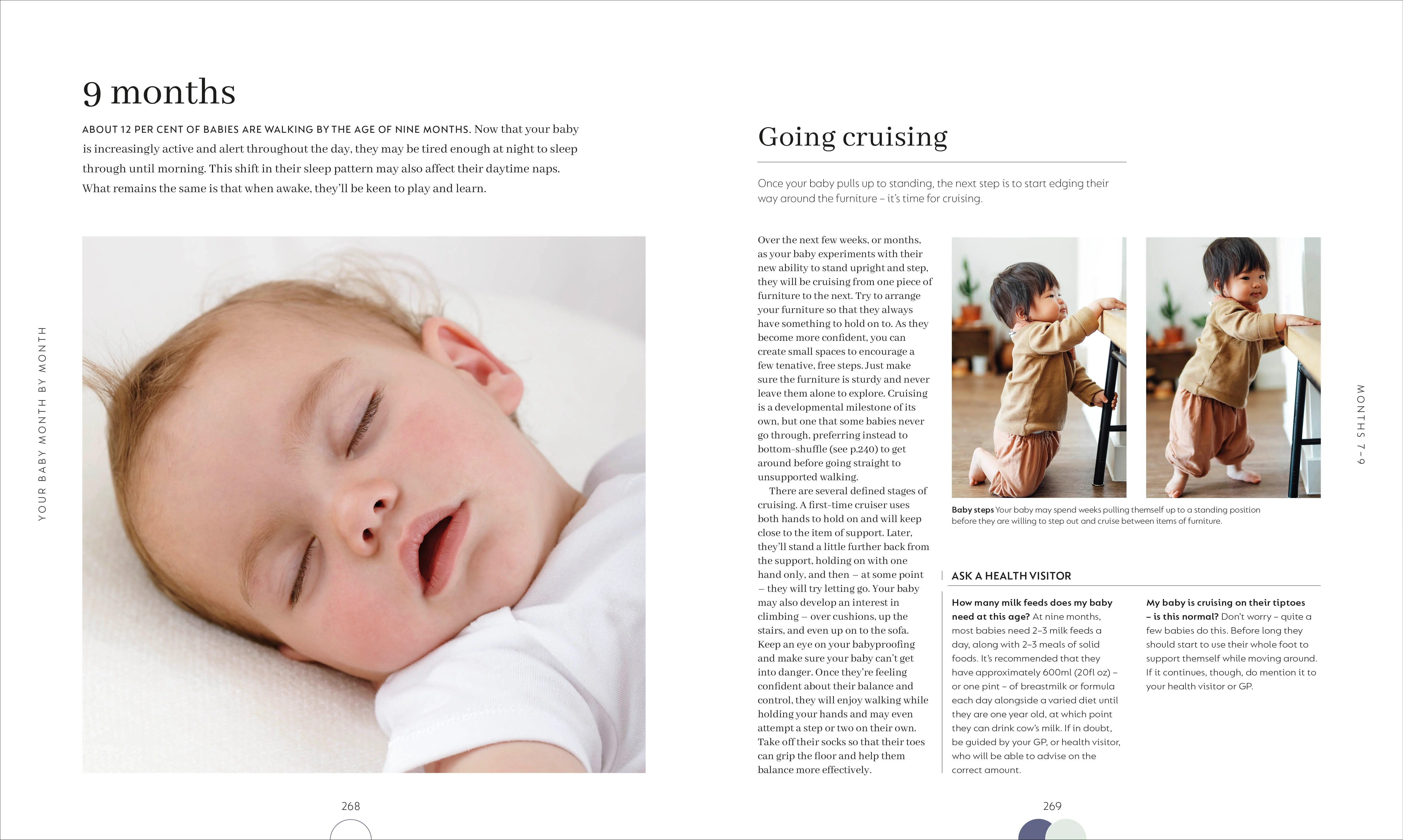 The Month-by-Month Baby Book - Image 5