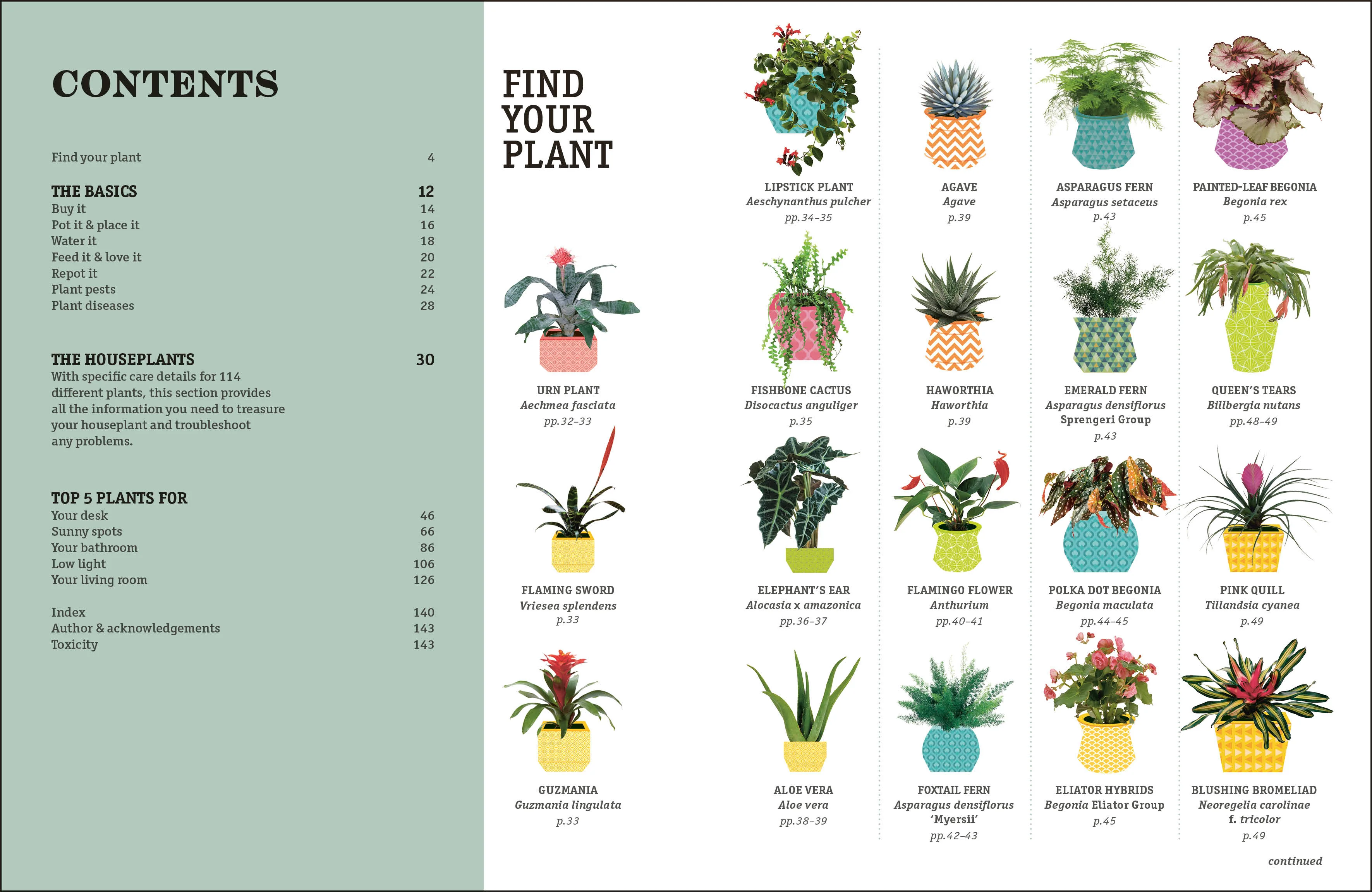 How Not to Kill Your Houseplant - Image 2