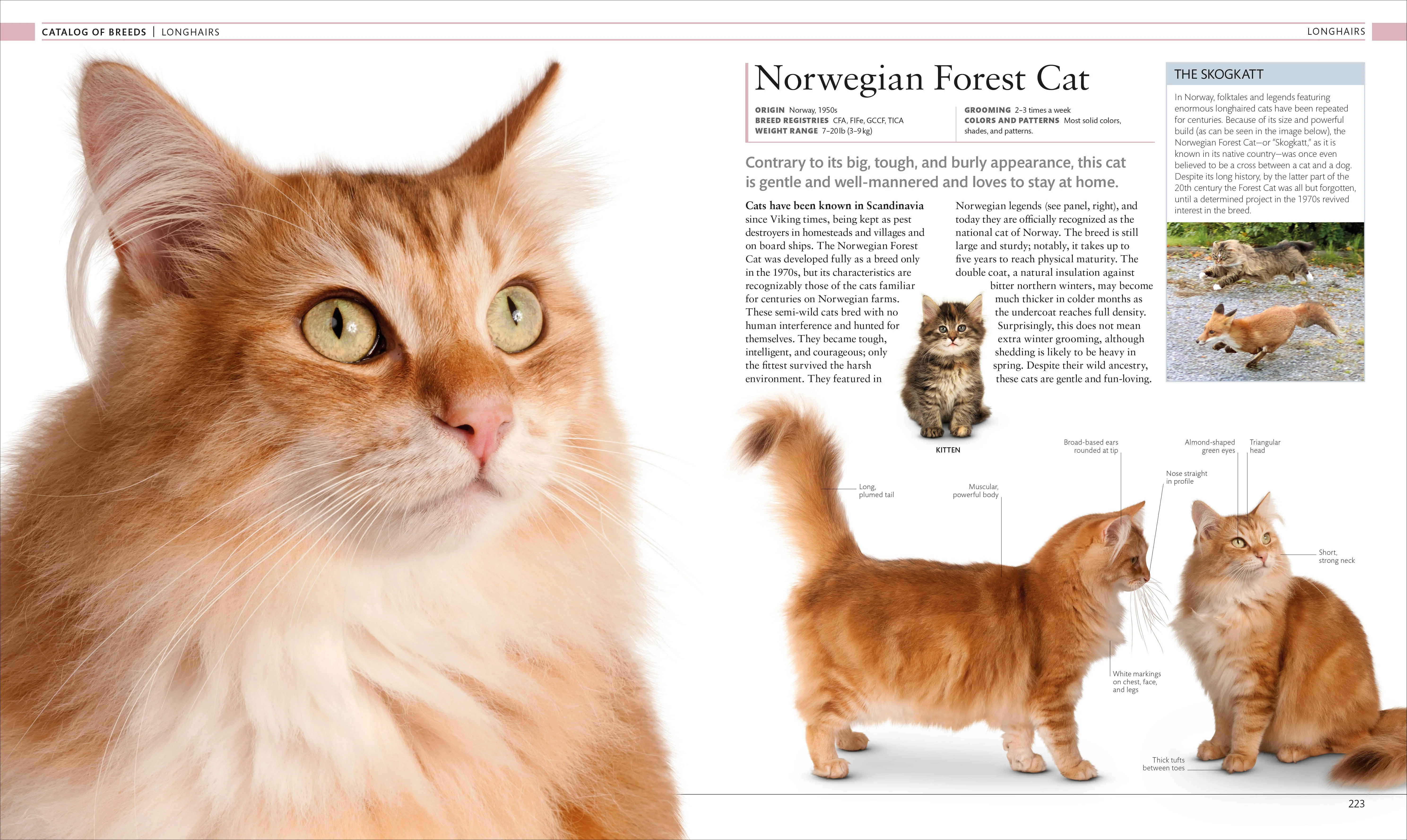 The Cat Encyclopedia - Image 10