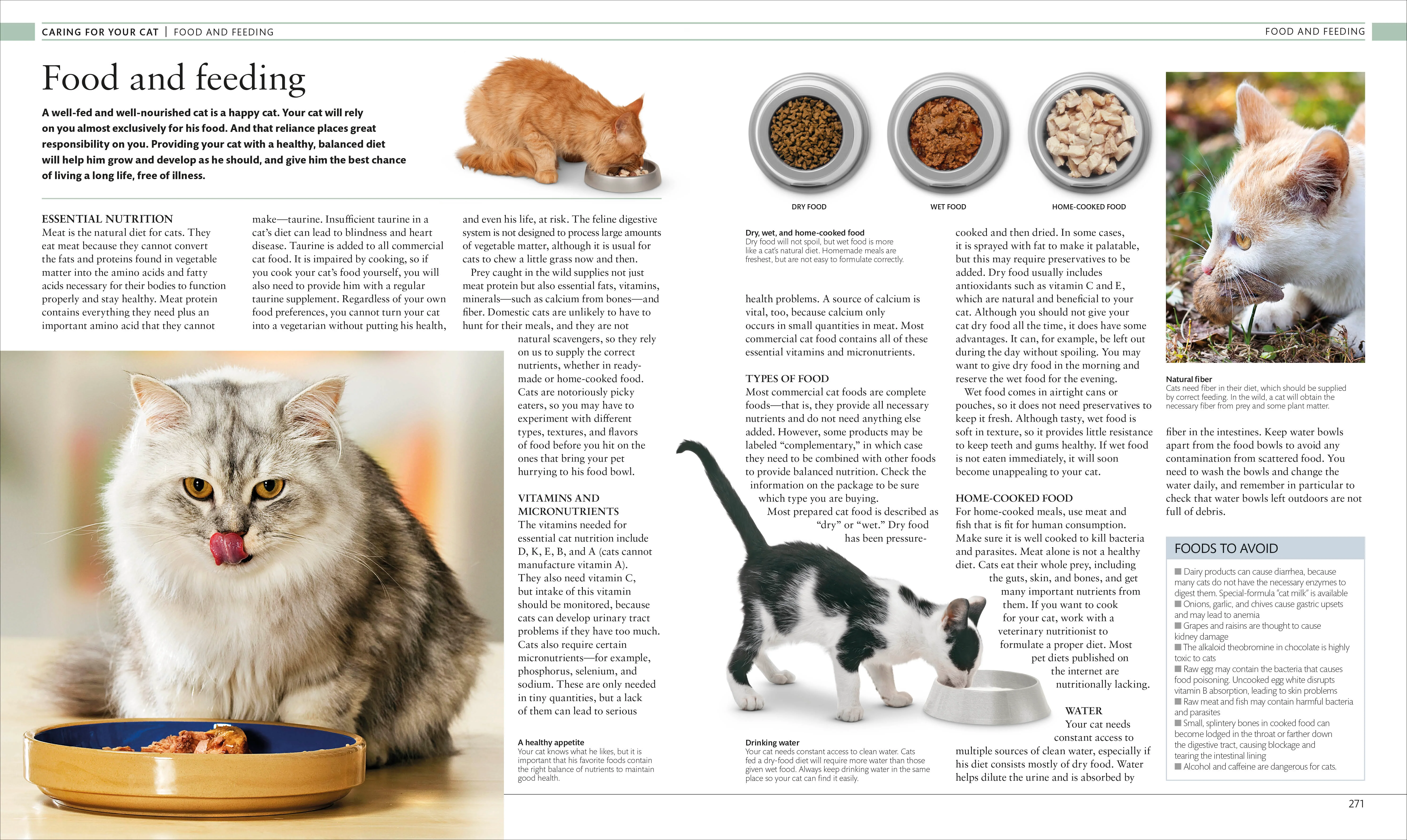 The Cat Encyclopedia - Image 11