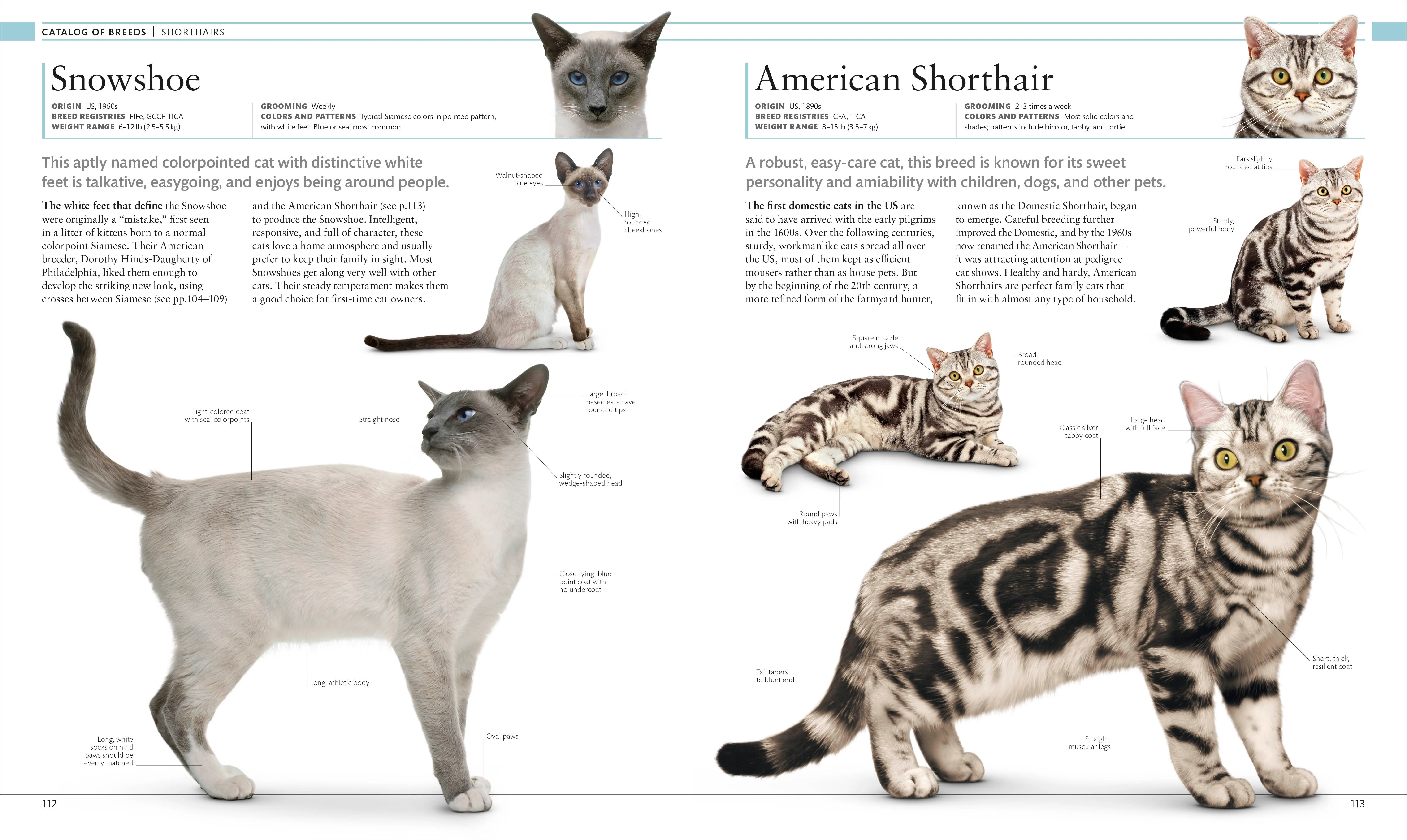 The Cat Encyclopedia - Image 5