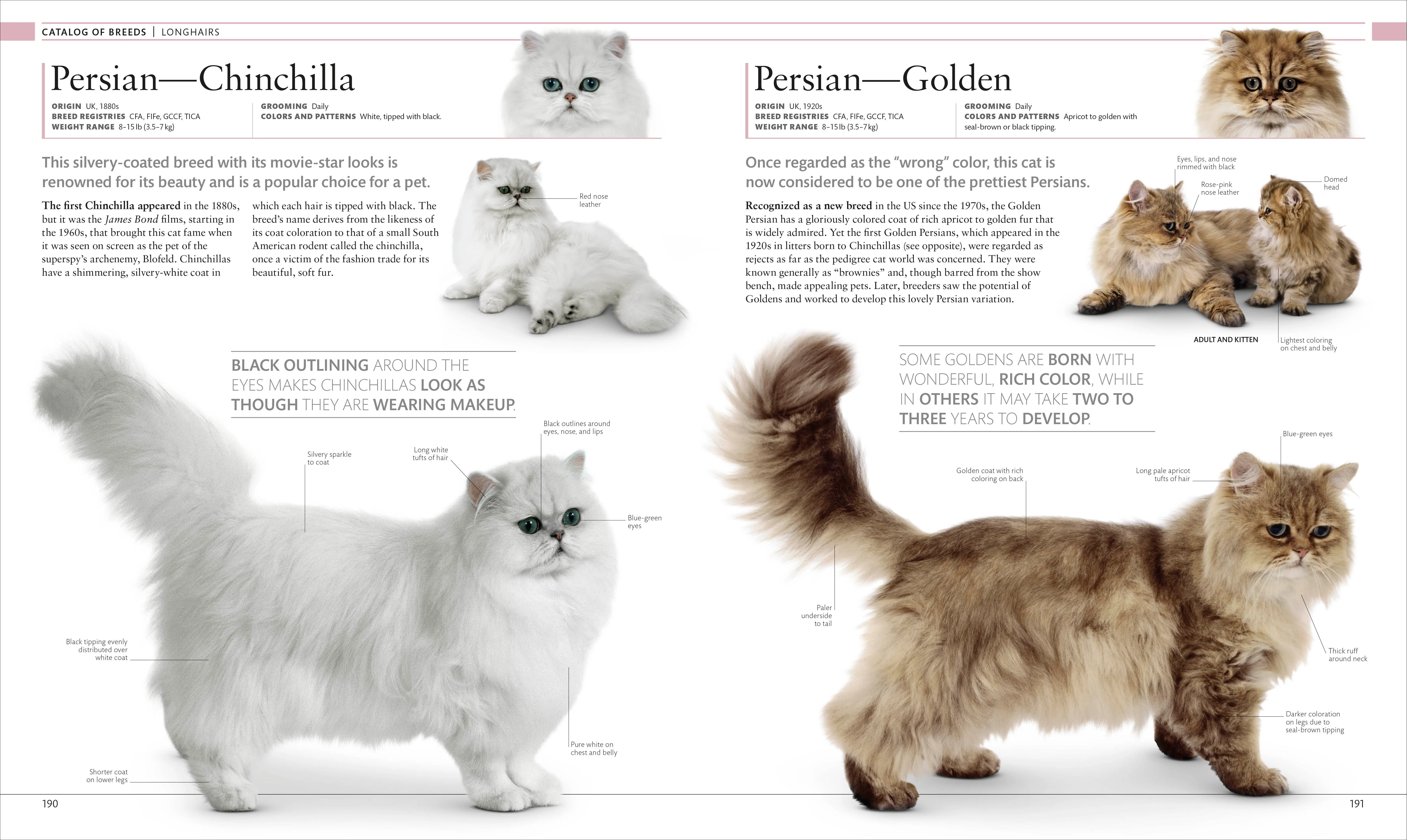 The Cat Encyclopedia - Image 8