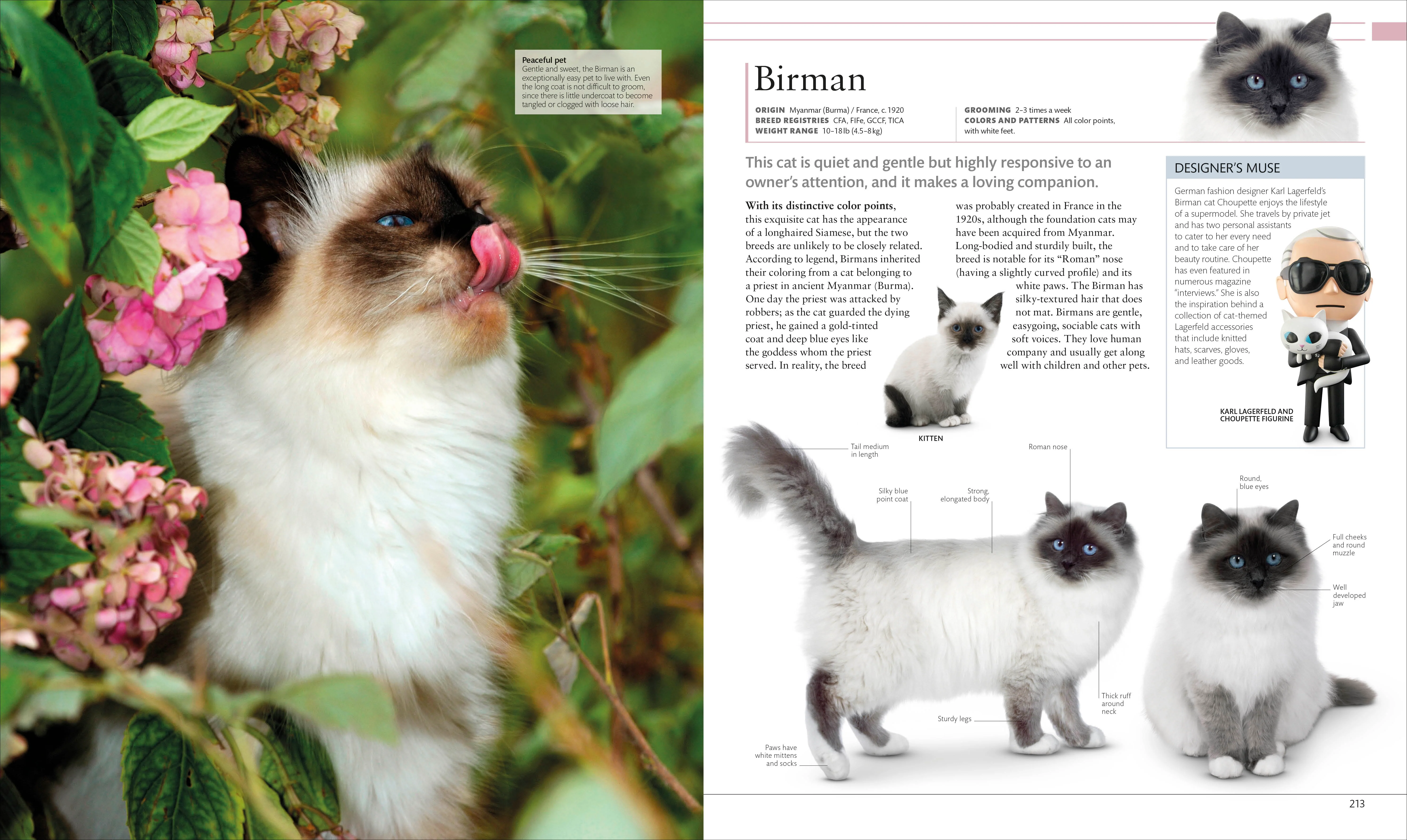 The Cat Encyclopedia - Image 9