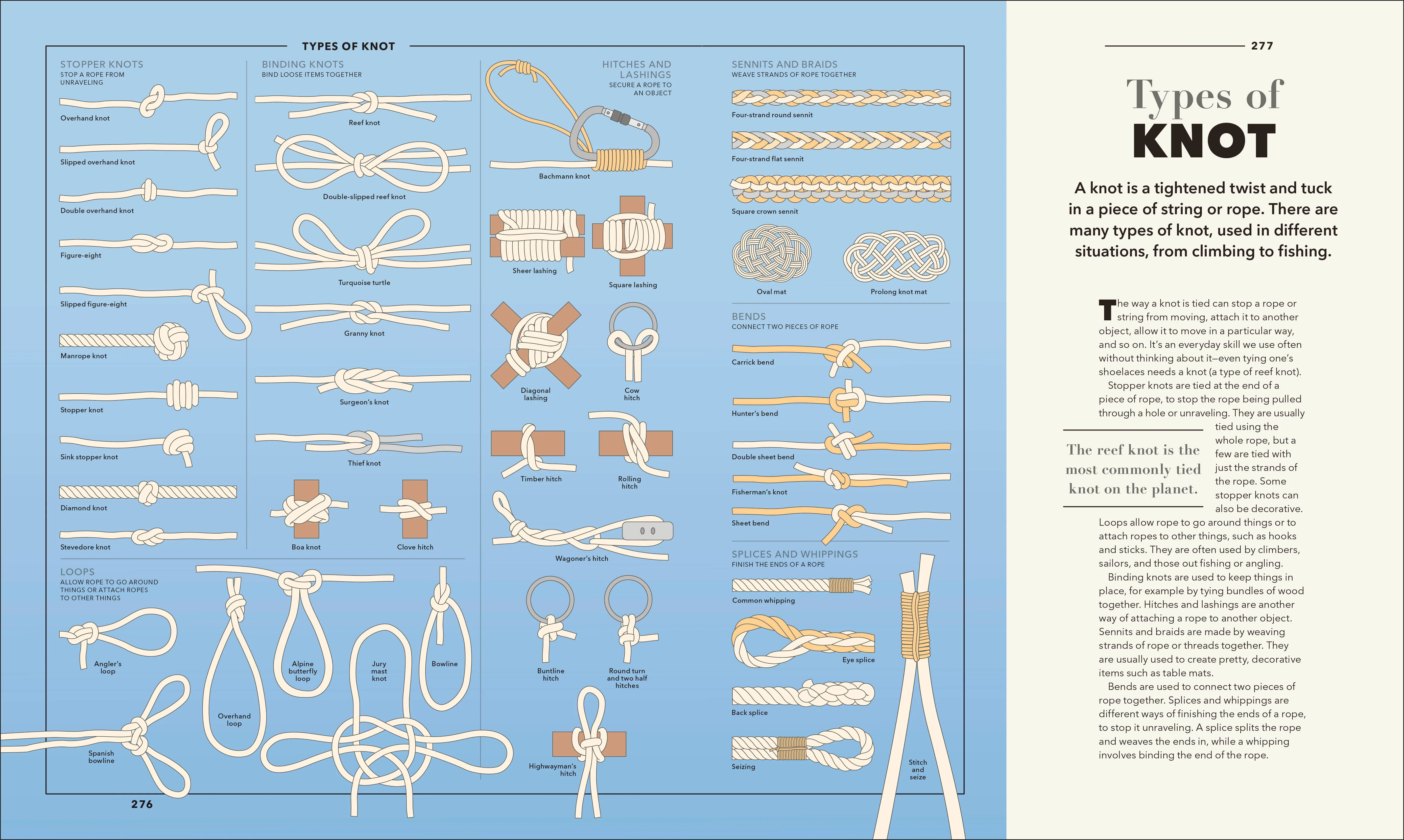 Knowledge A Visual Compendium - Image 12