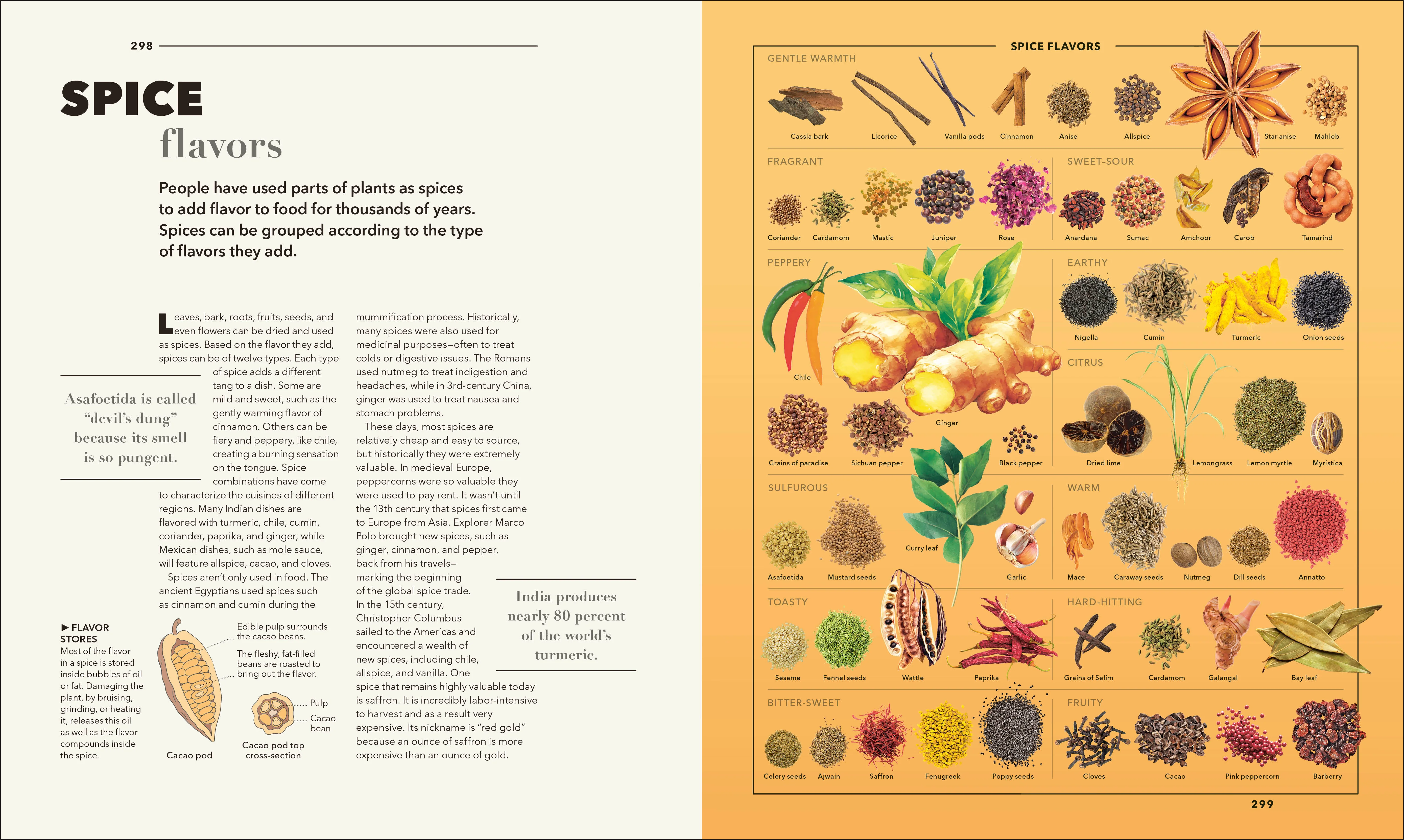 Knowledge A Visual Compendium - Image 13