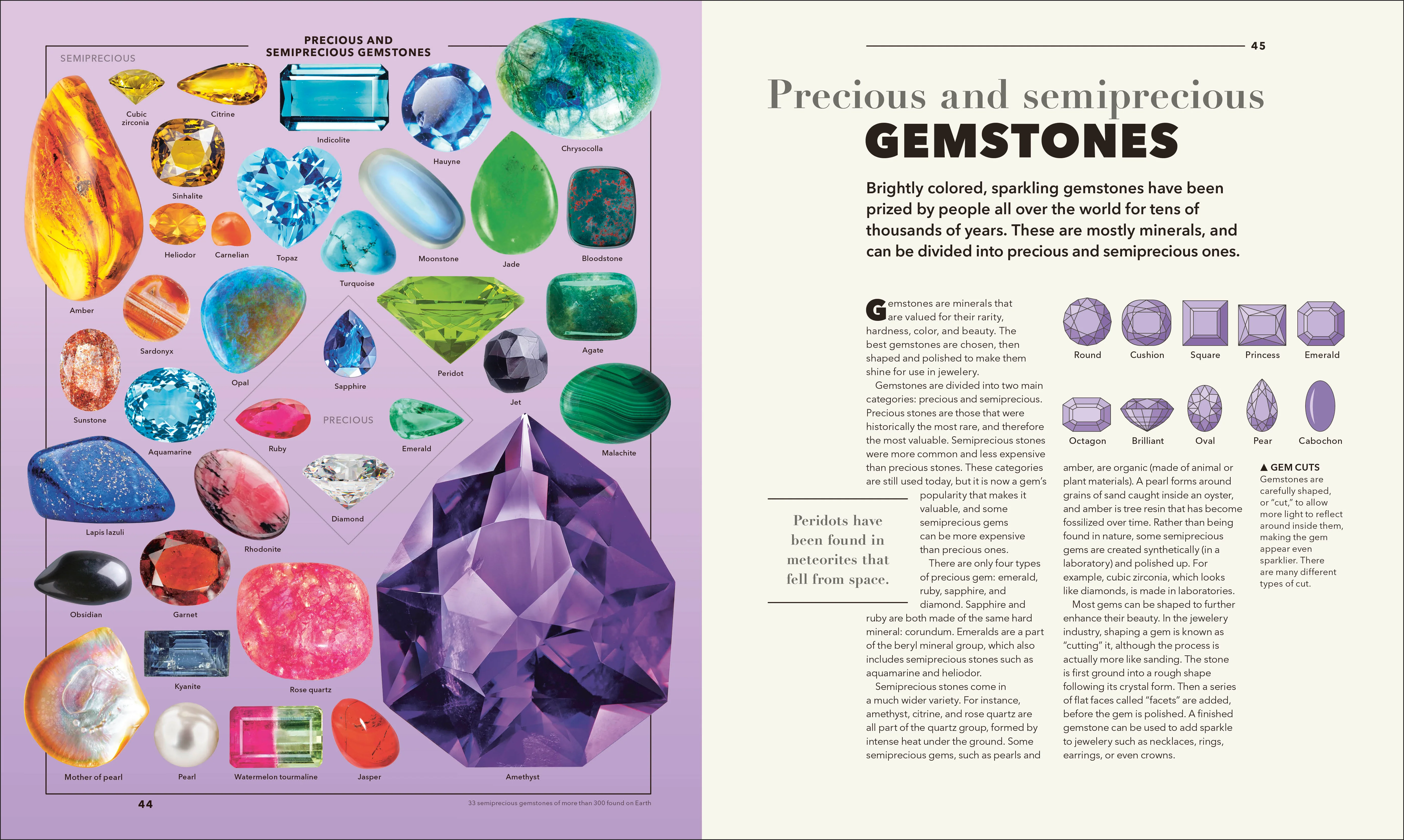 Knowledge A Visual Compendium - Image 5