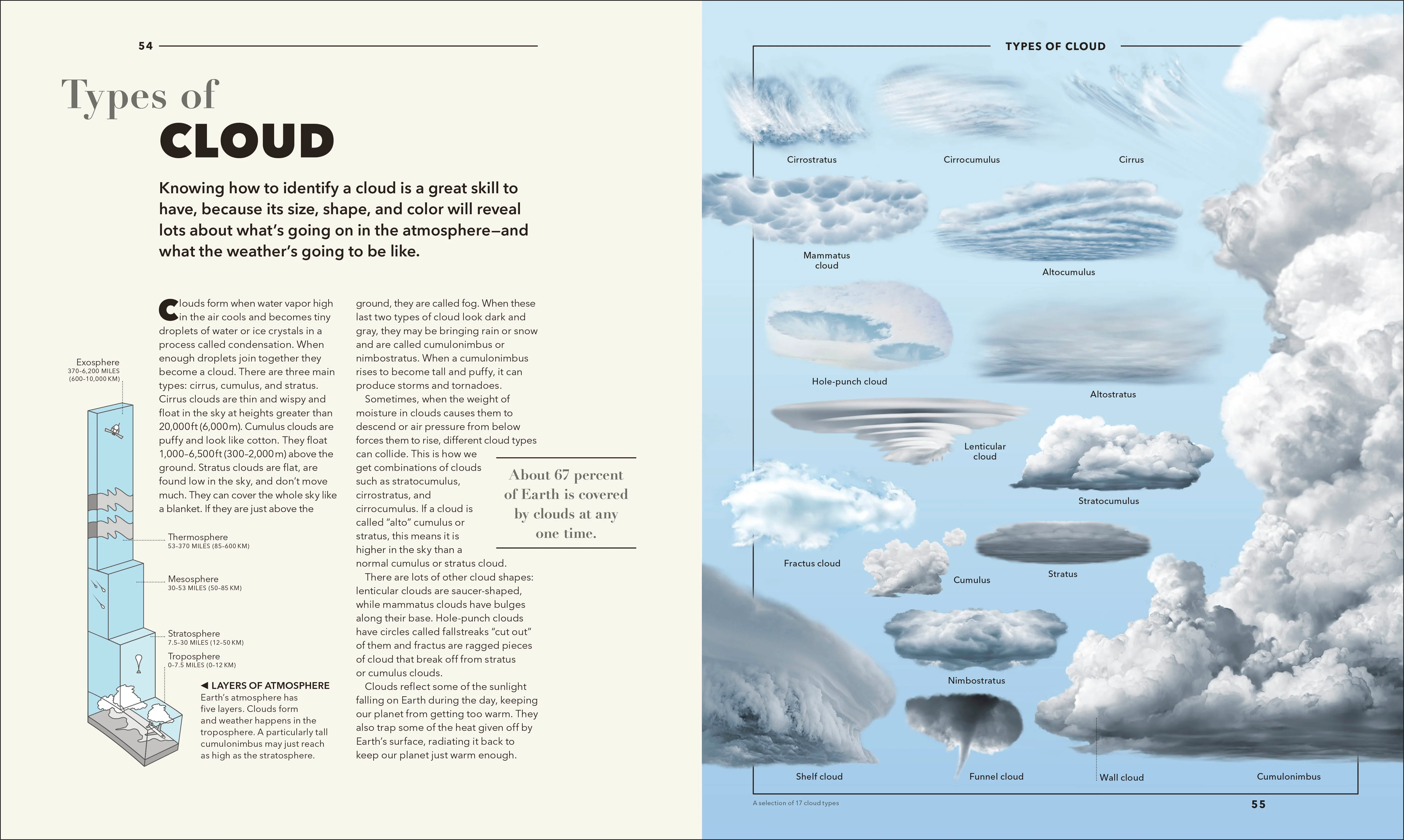 Knowledge A Visual Compendium - Image 6