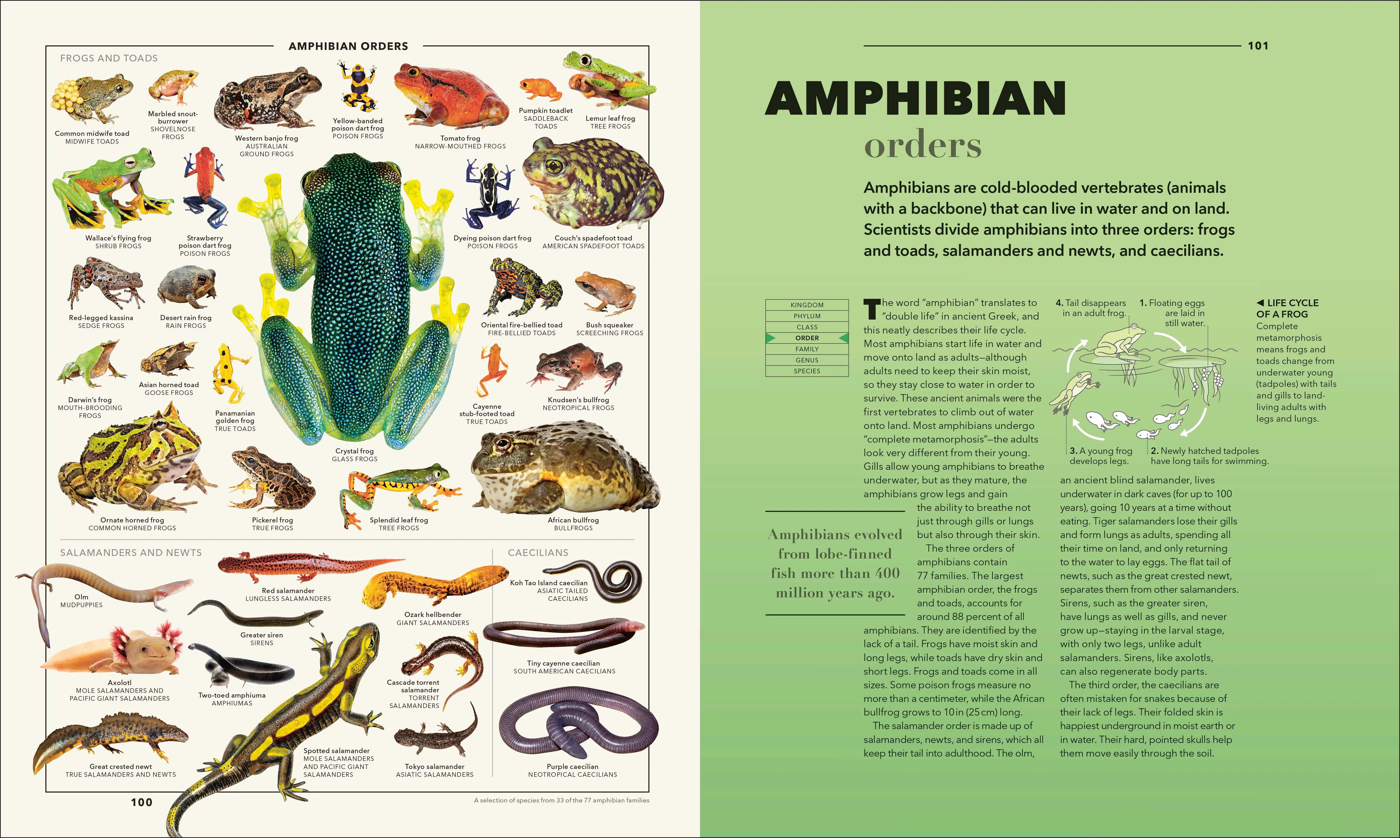 Knowledge A Visual Compendium - Image 9