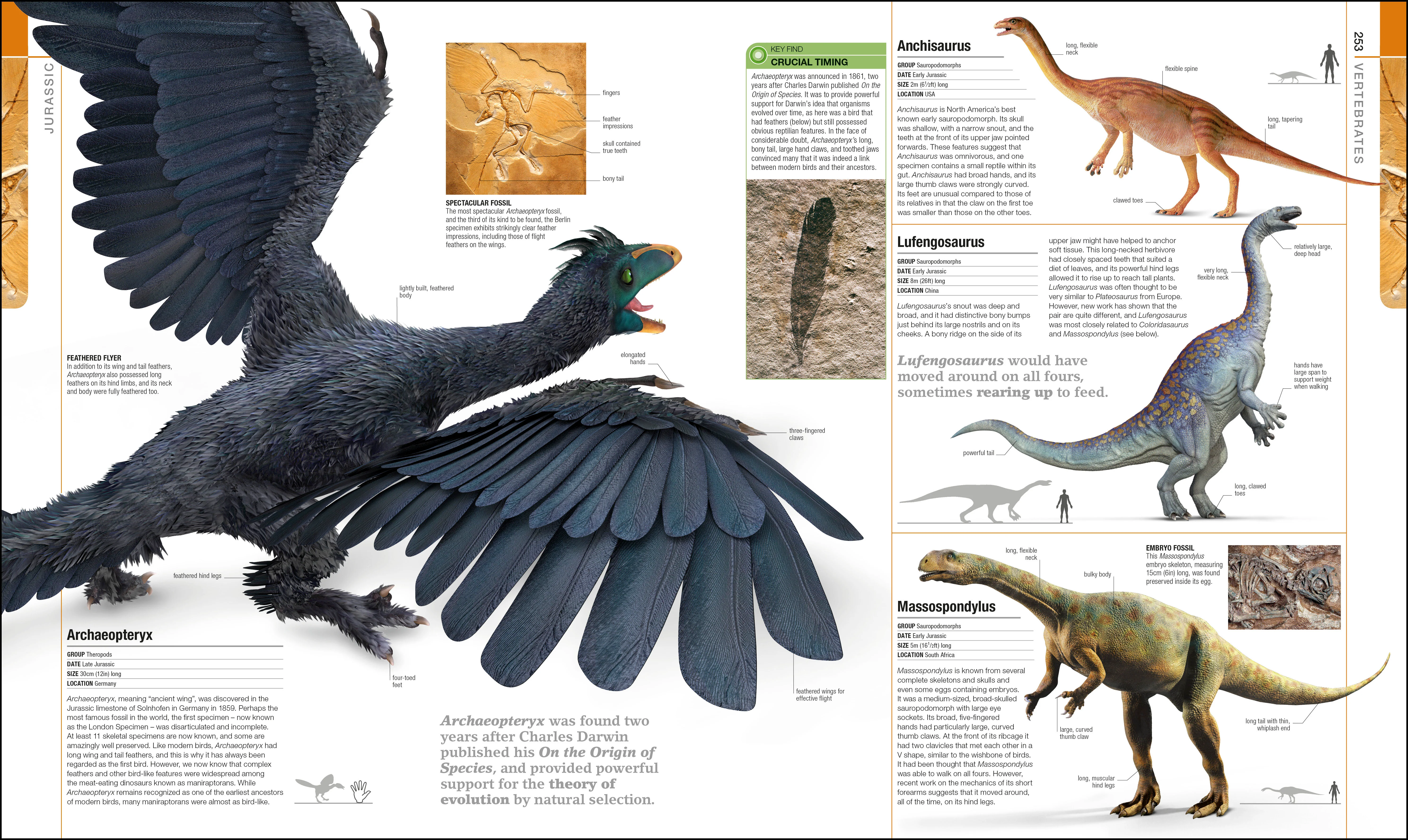 Dinosaurs and Prehistoric Life - Image 4