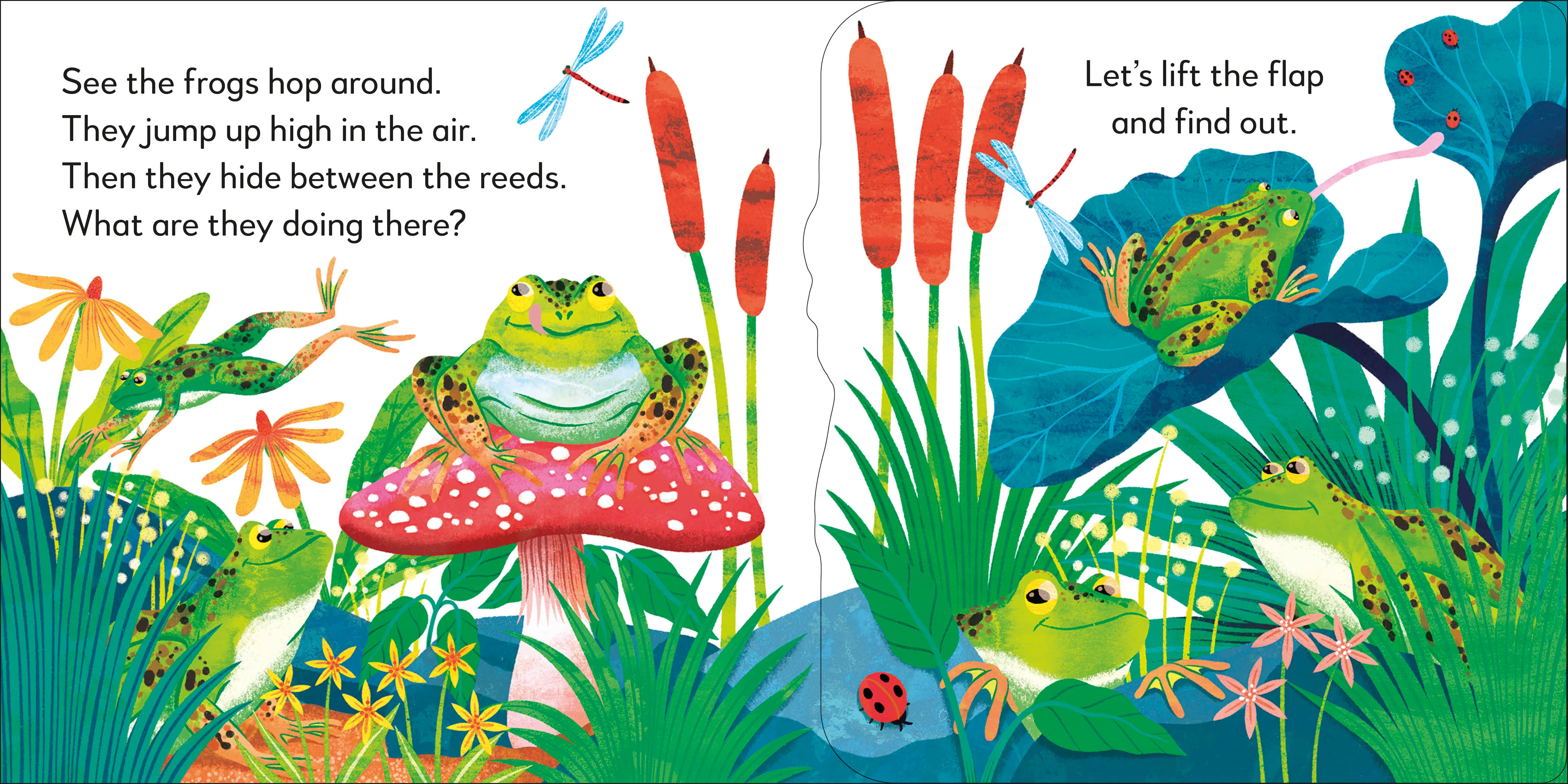 Pop-Up Peekaboo! Frog - Image 2