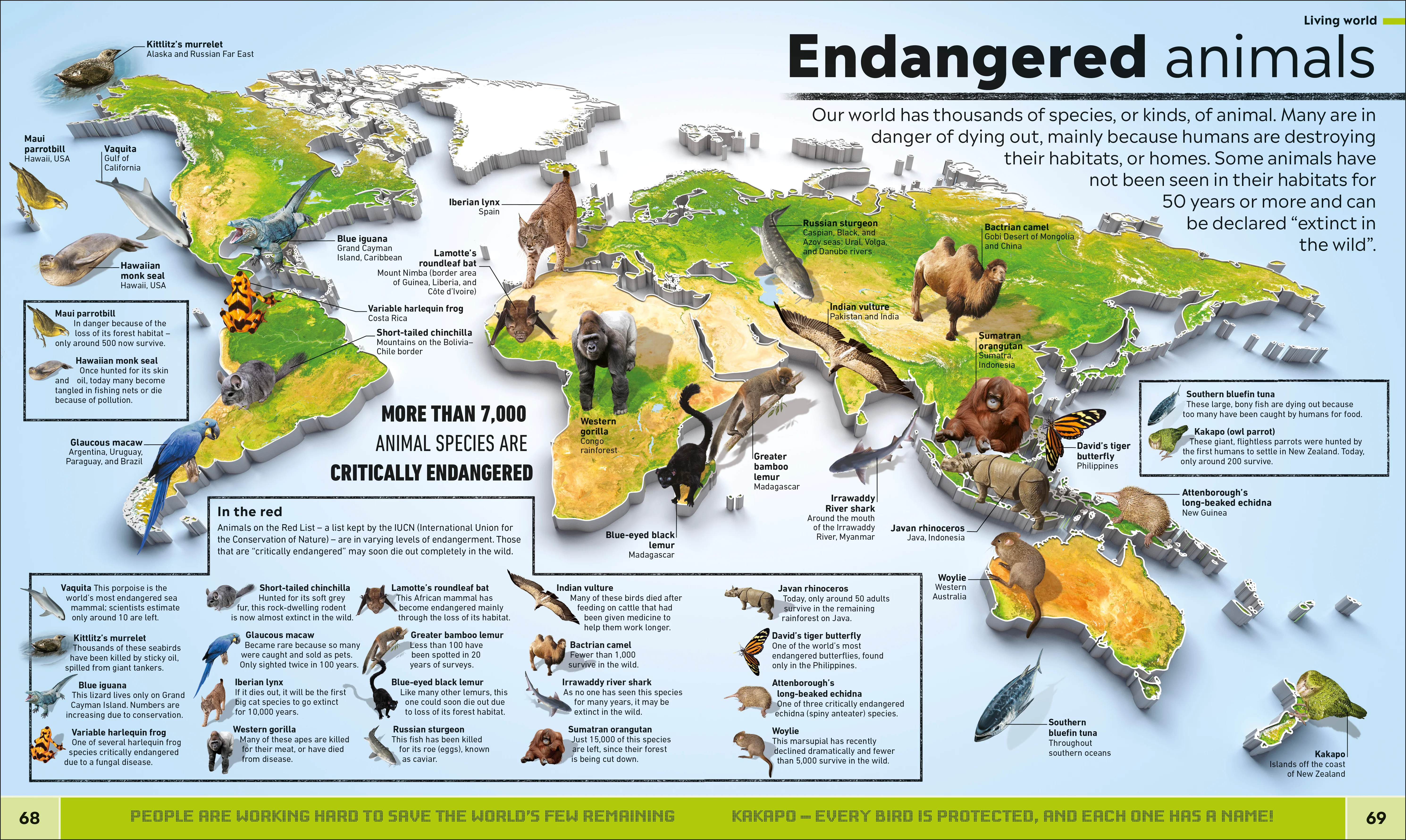 What's Where on Earth? - Image 3