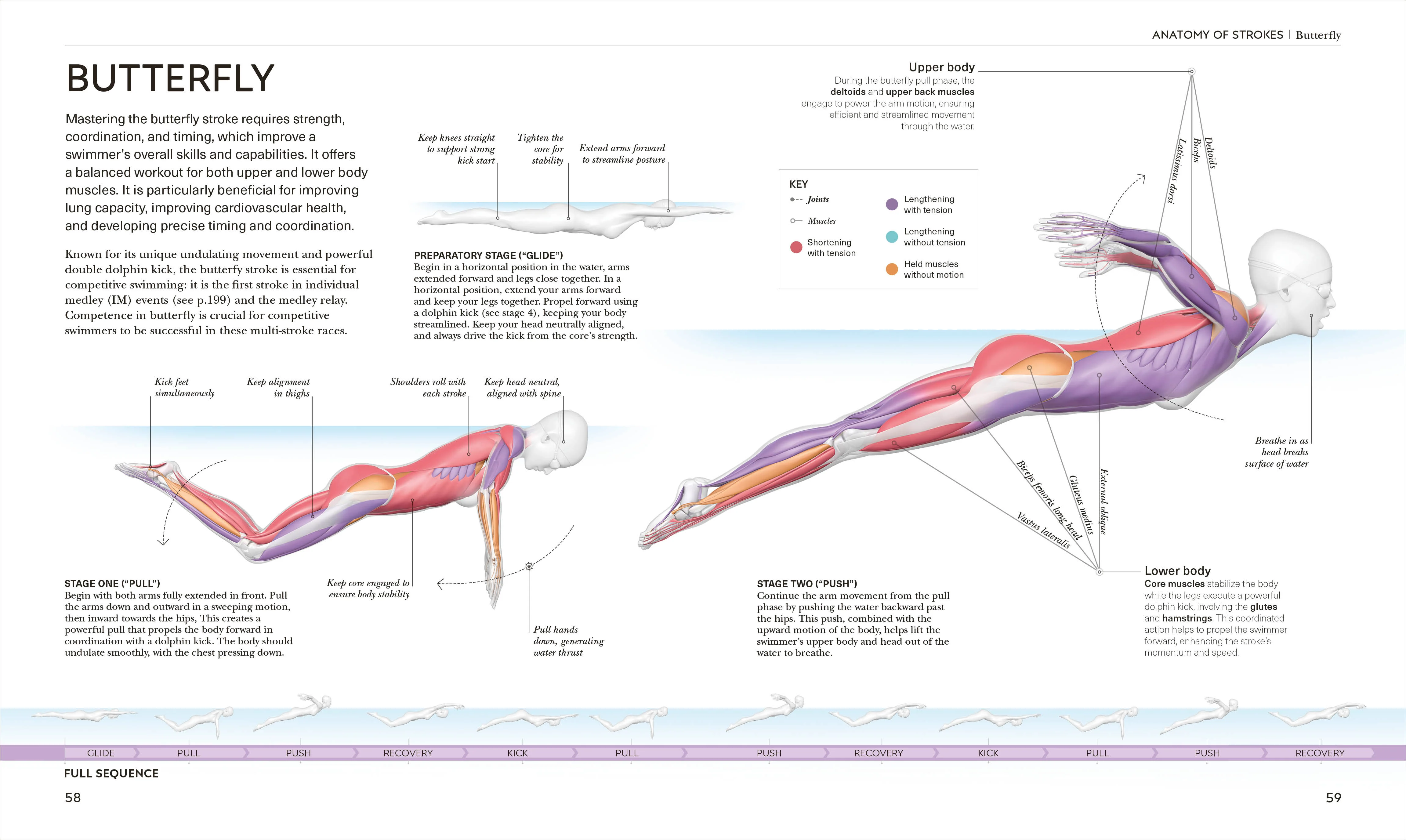 Science of Swimming - Image 4