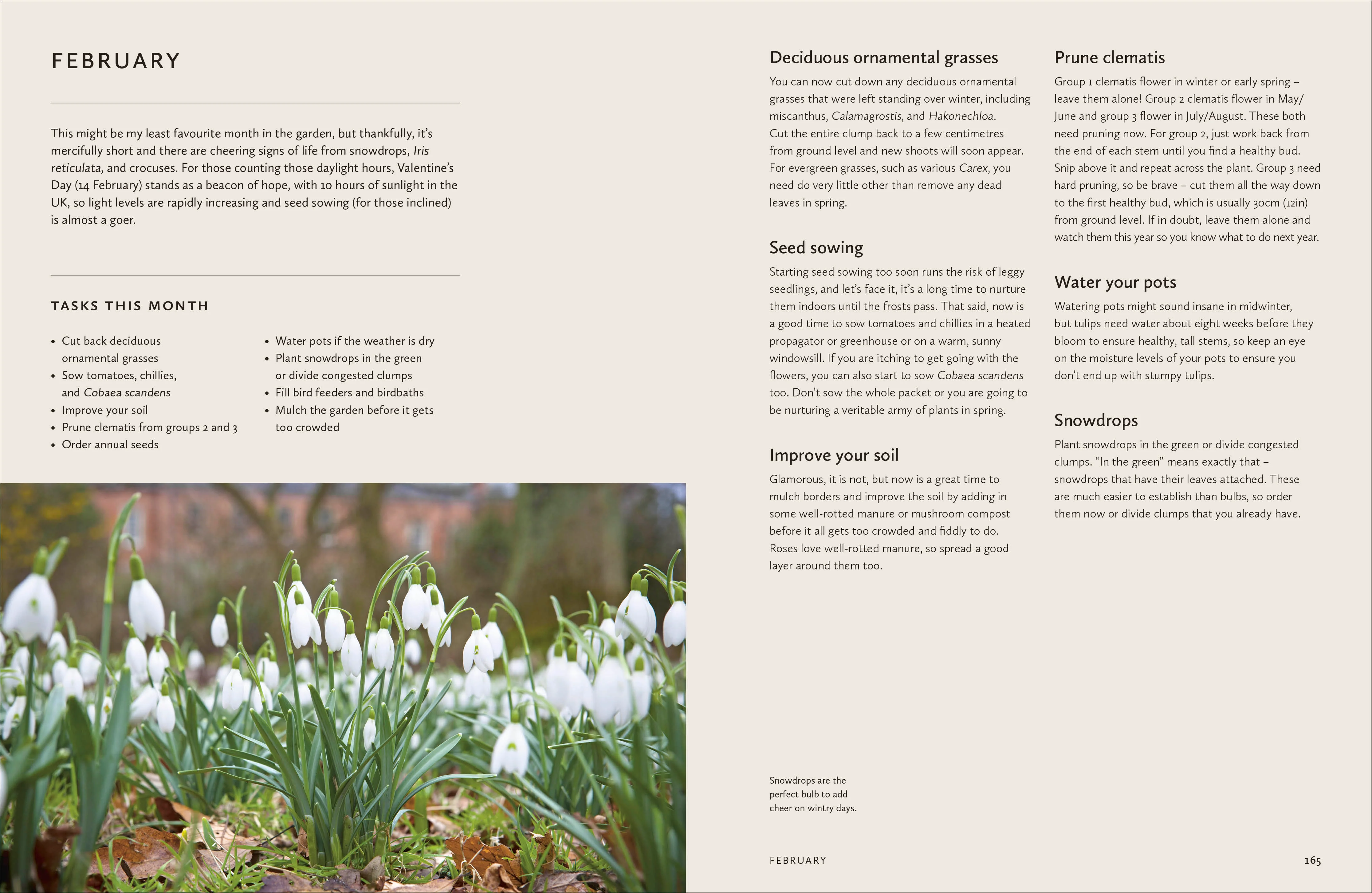 How to Design a Garden - Image 2