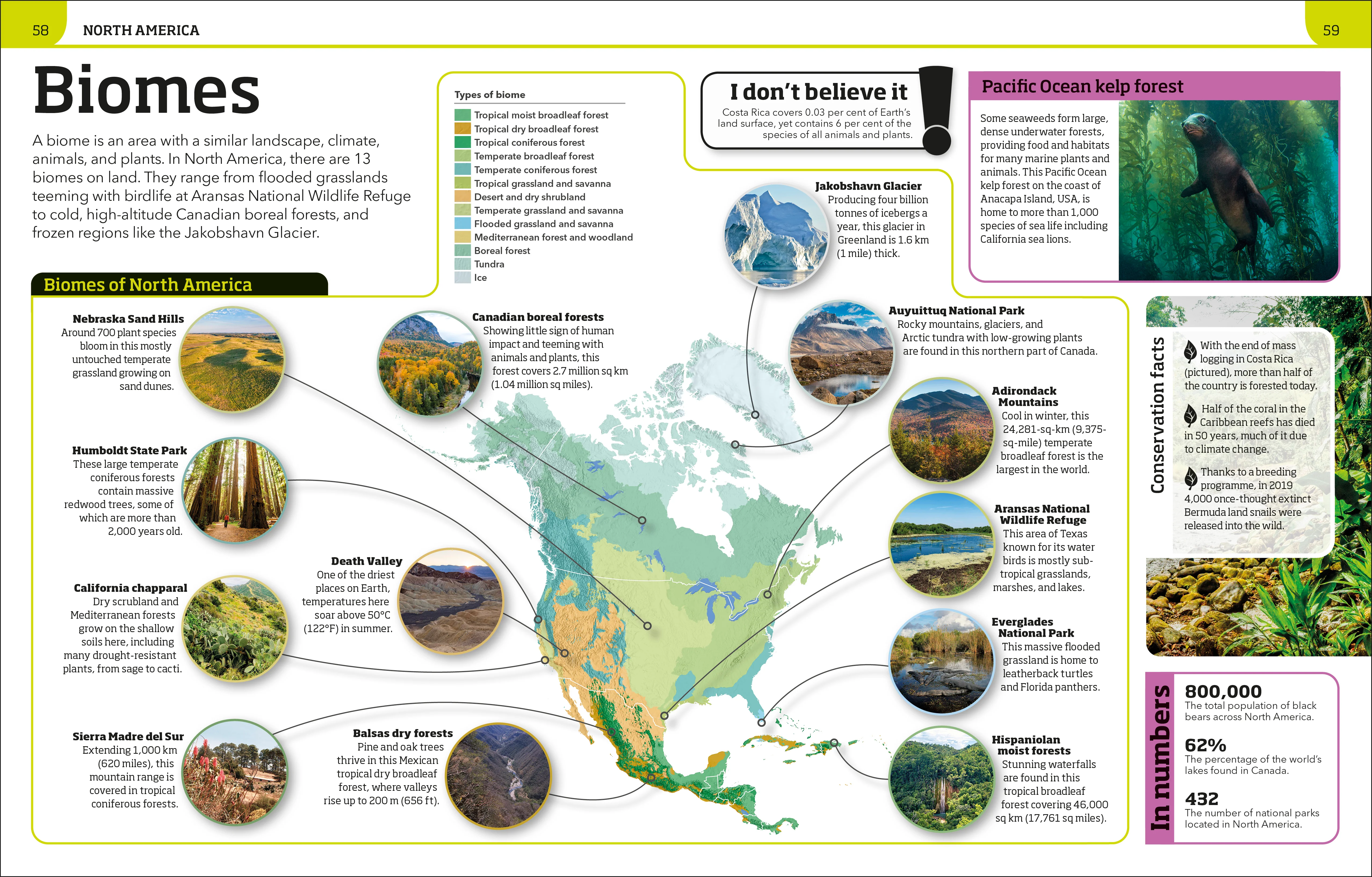 Earth Knowledge Genius! - Image 5