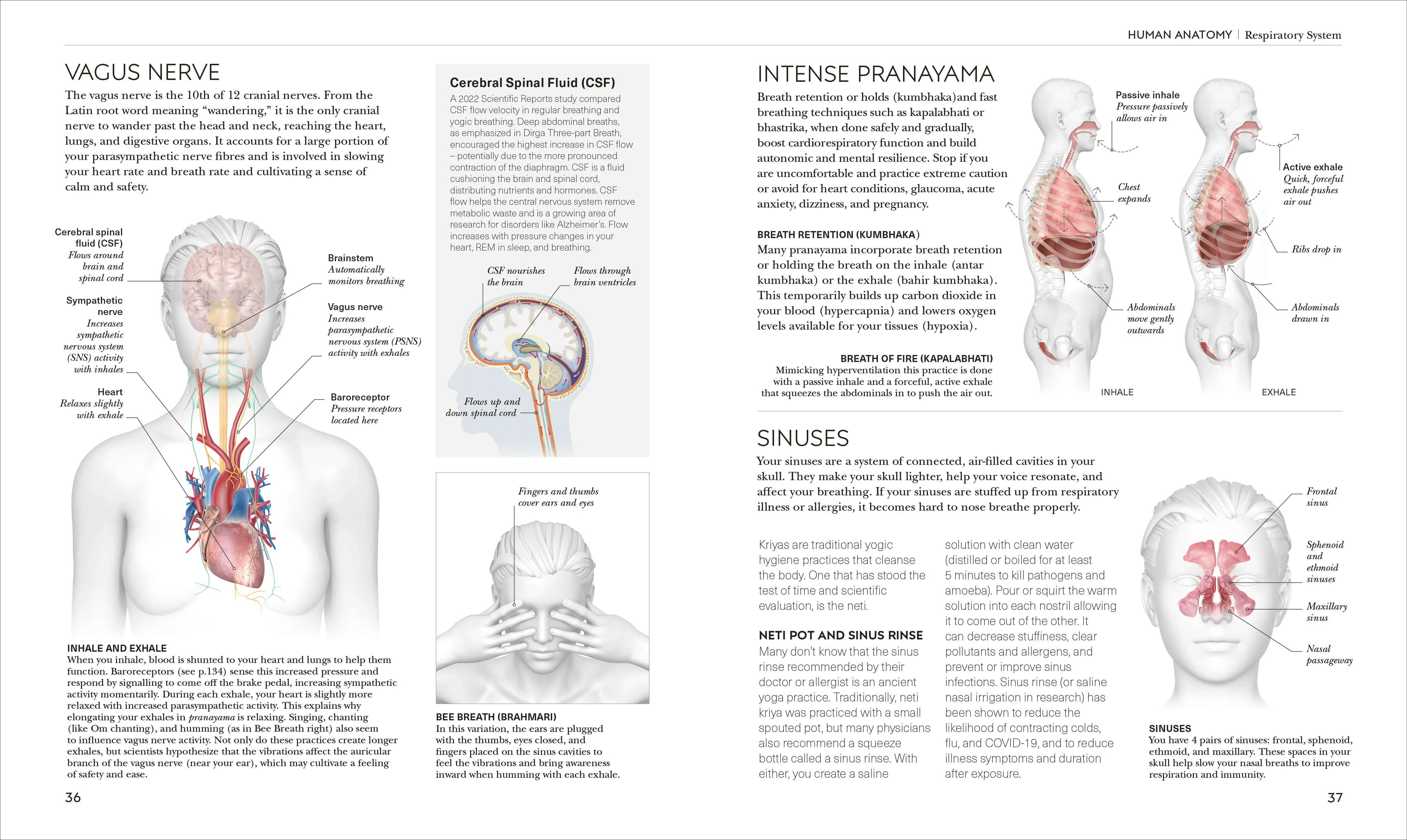 Science of Yoga - Image 3