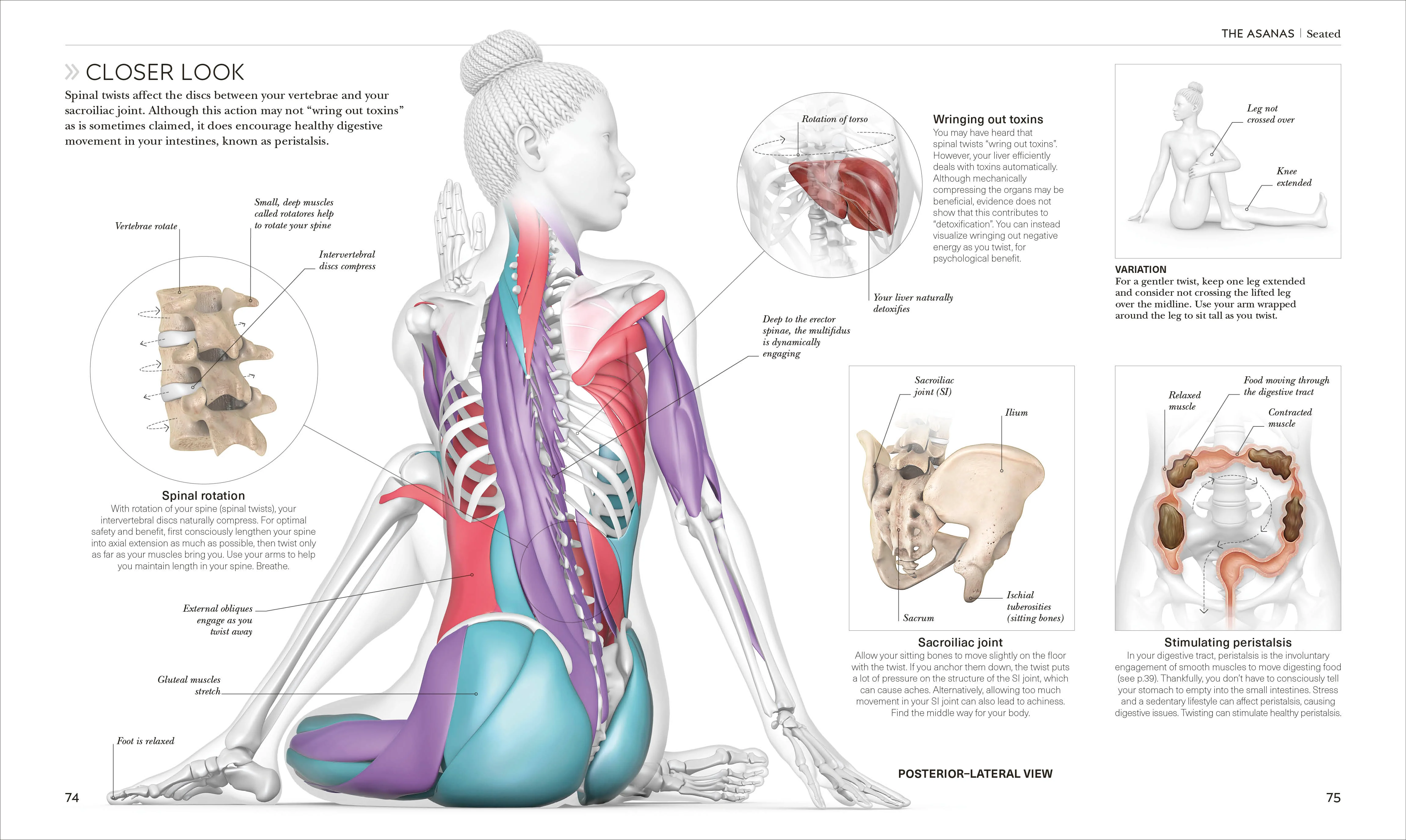 Science of Yoga - Image 5