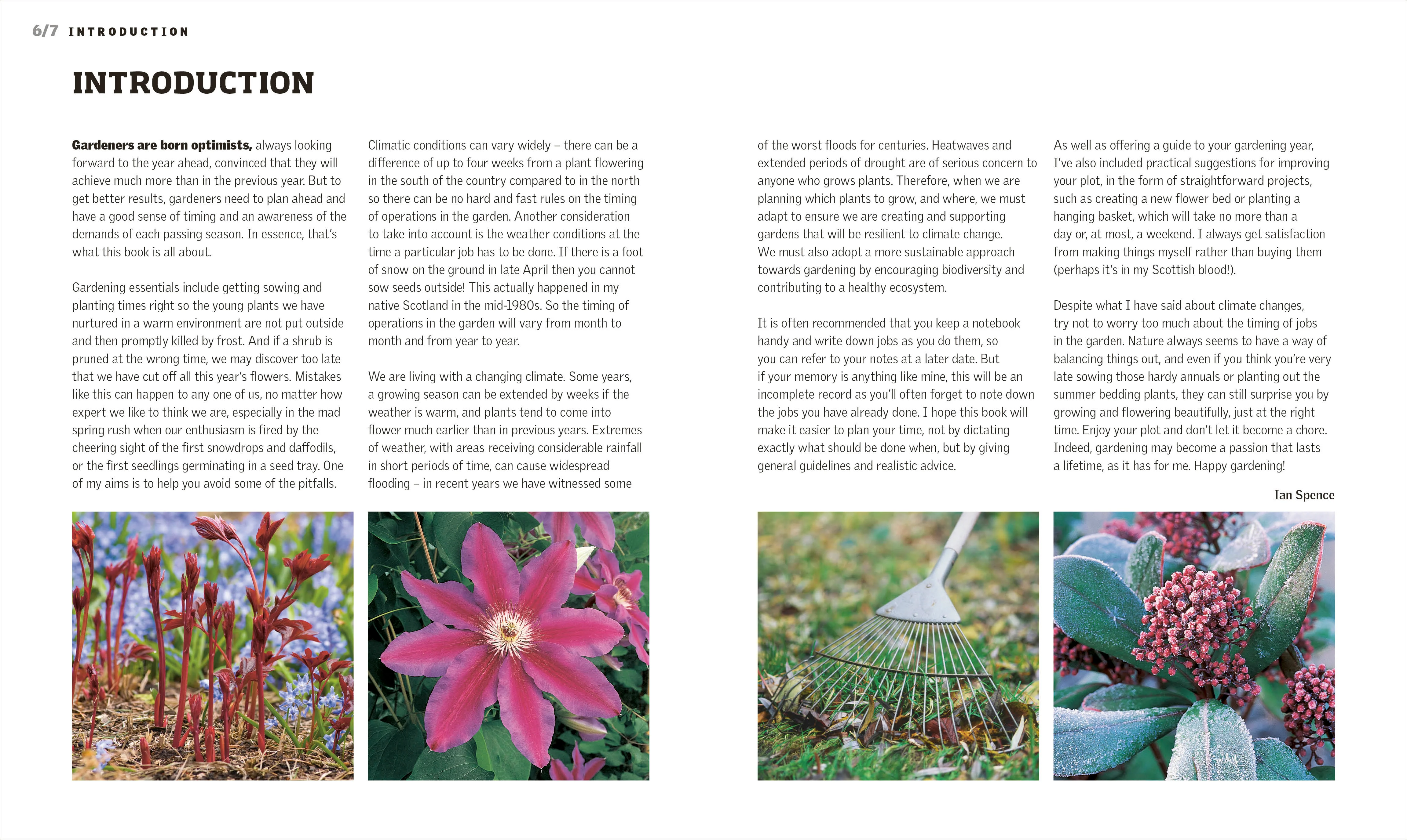 RHS Gardening Through the Year - Image 3
